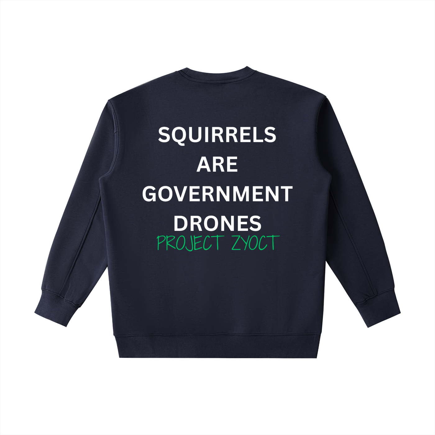 "Squirrels Are Government Drones" Heavyweight Sweatshirt