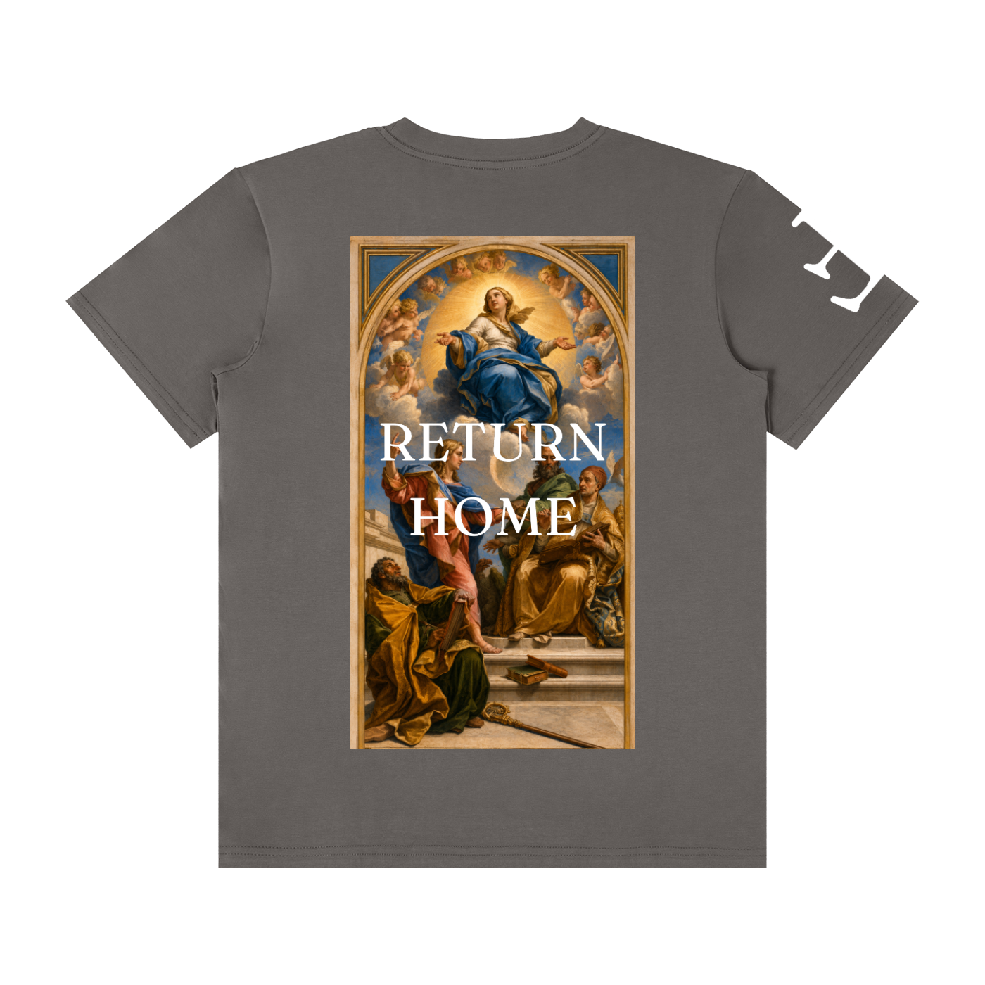 Explaining the doctrine of the Immaculate Conception T-Shirt