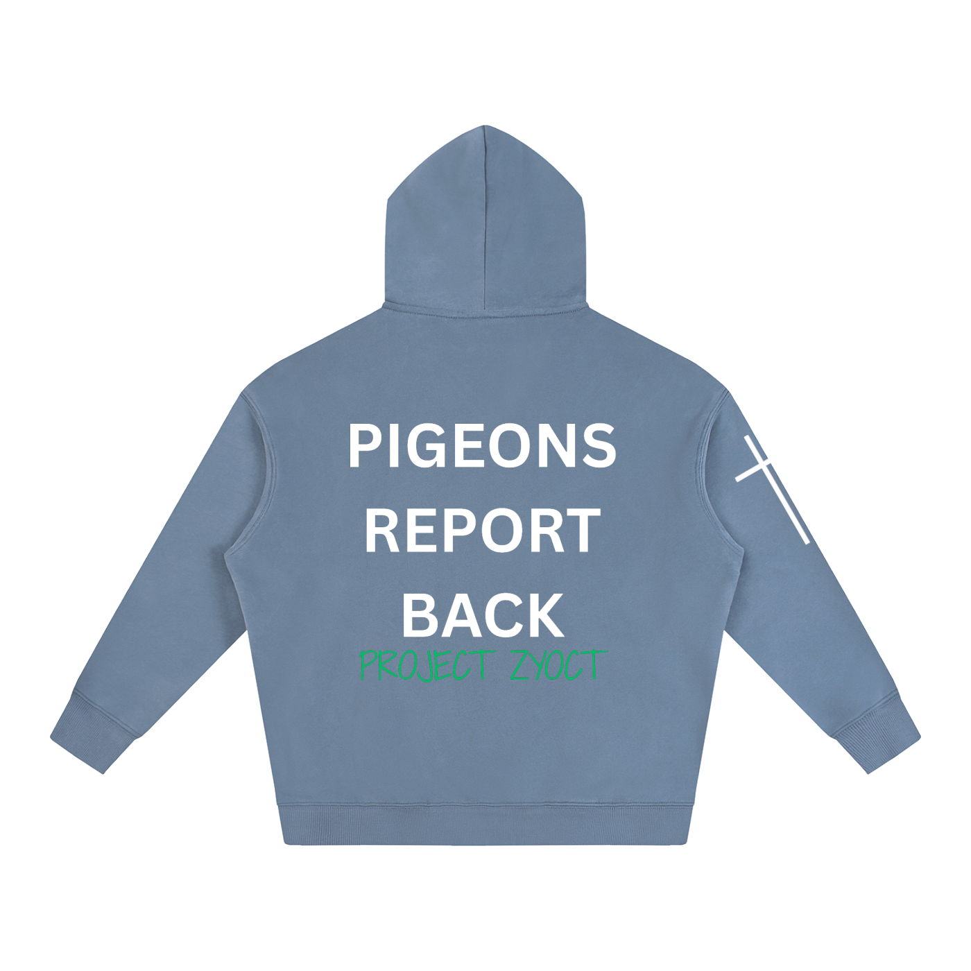 "Pigeons Report Back" Oversize Hoodie