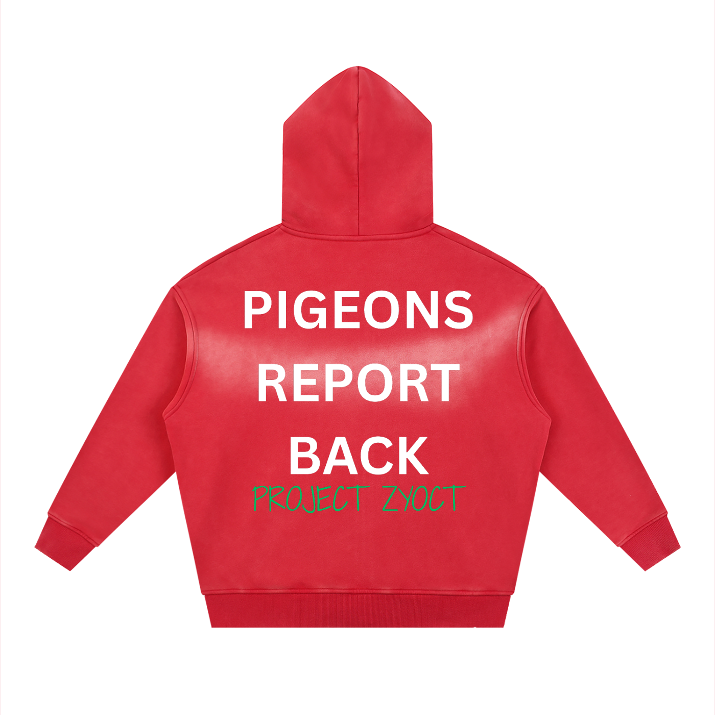 "Pigeons Report Back" Faded Zipper Hoodie