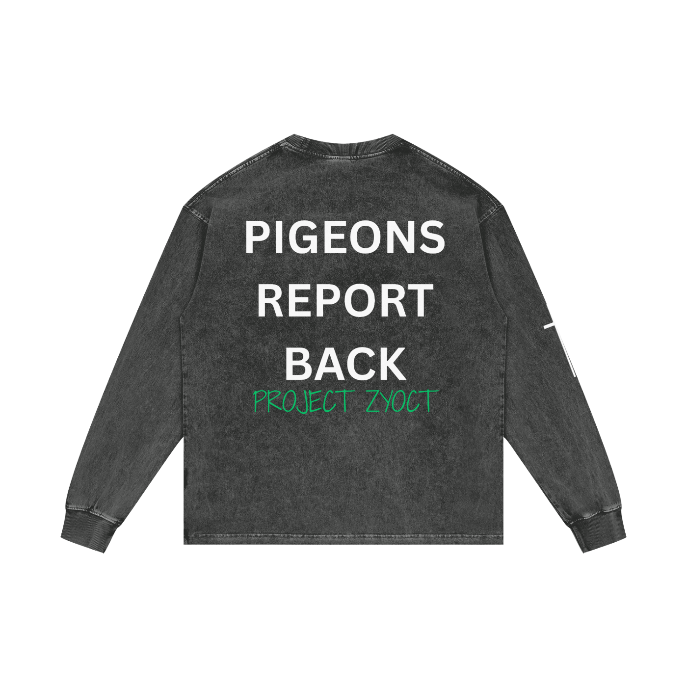 "Pigeons Report Back" Acid Wash Long Sleeve
