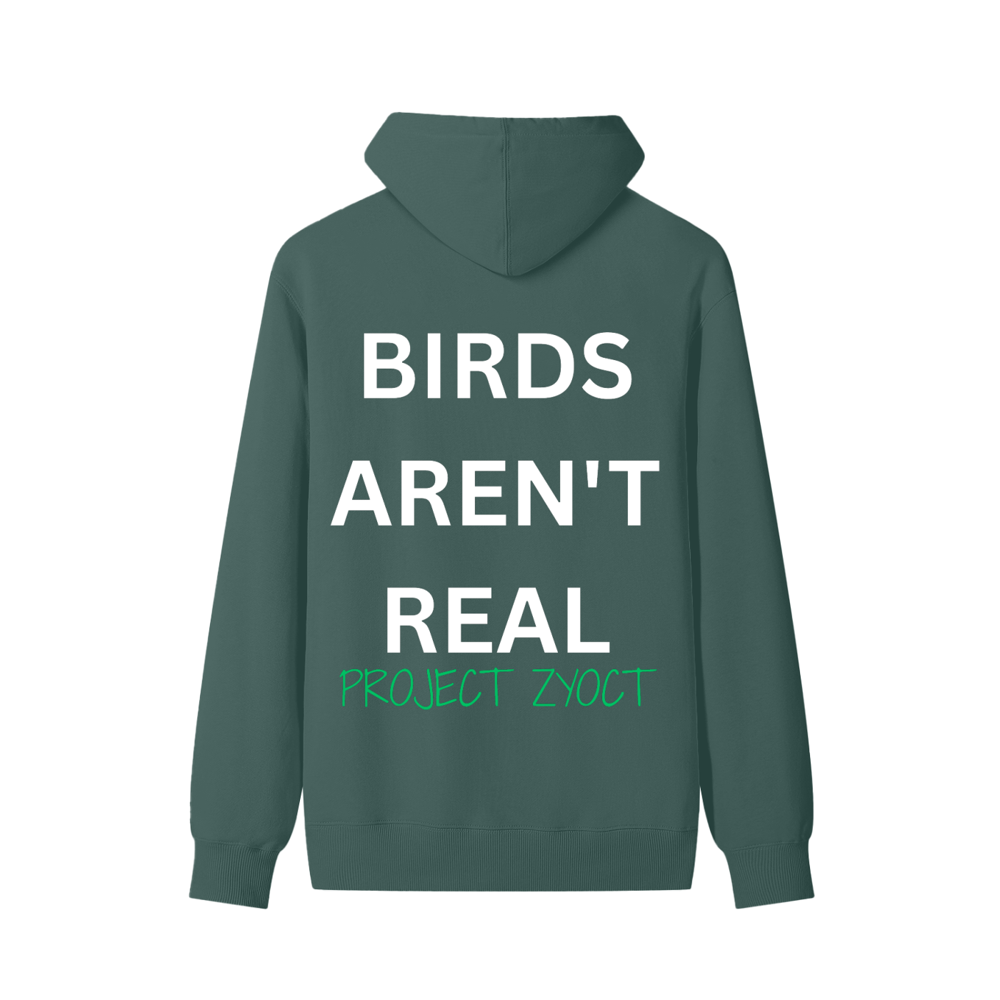 "Birds Aren't Real" Classic Cotton Hoodie