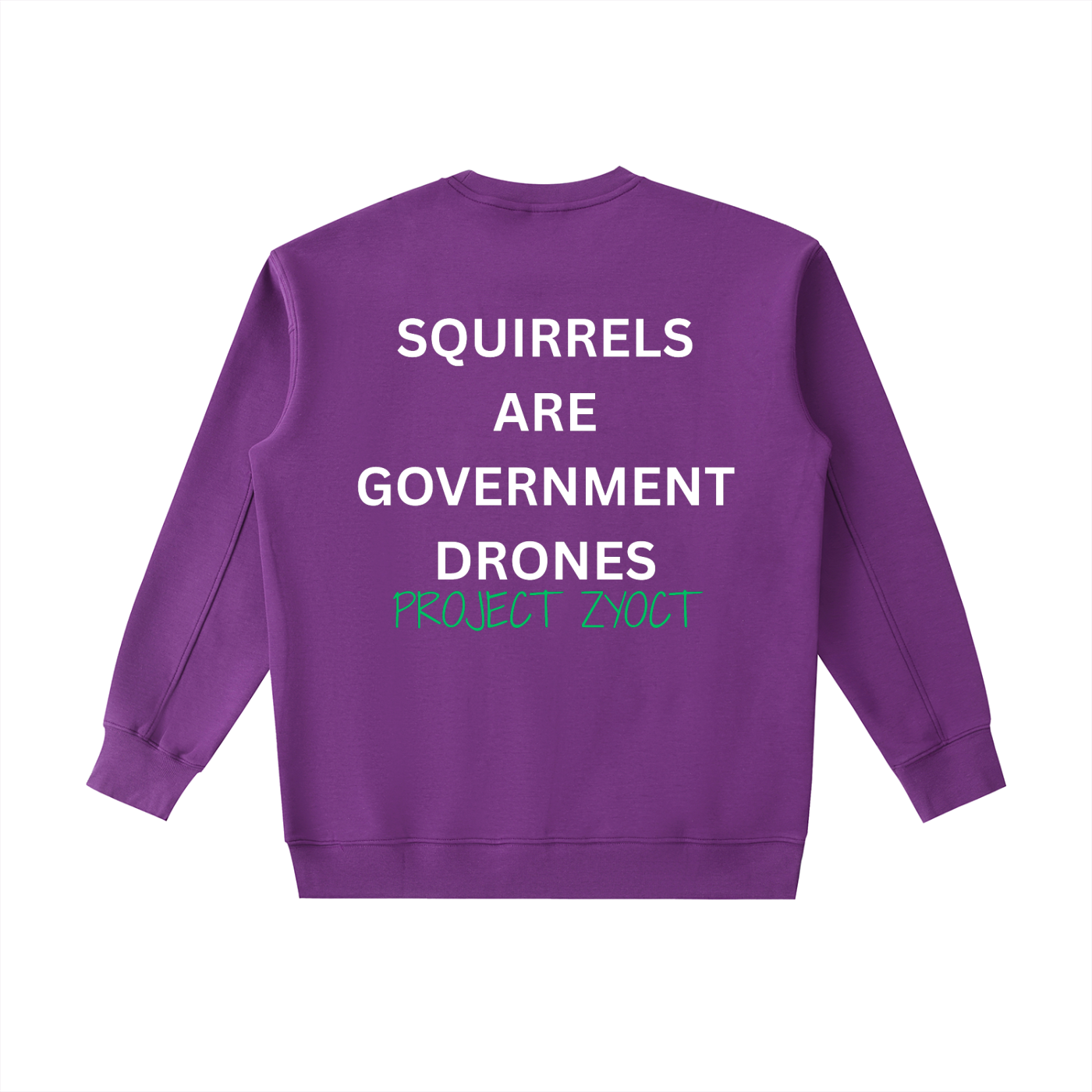 "Squirrels Are Government Drones" Heavyweight Sweatshirt
