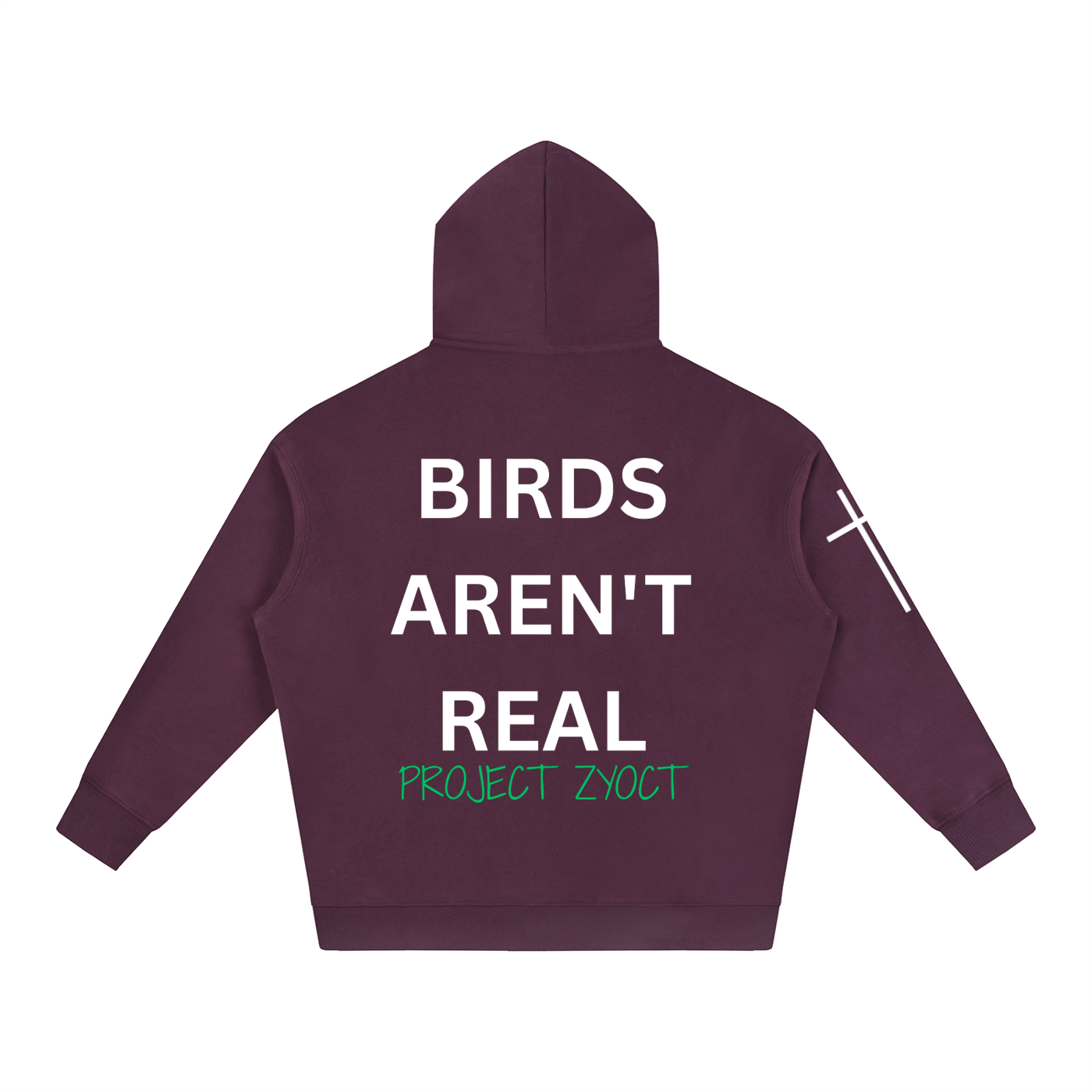 "Birds Aren't Real" Oversize Hoodie
