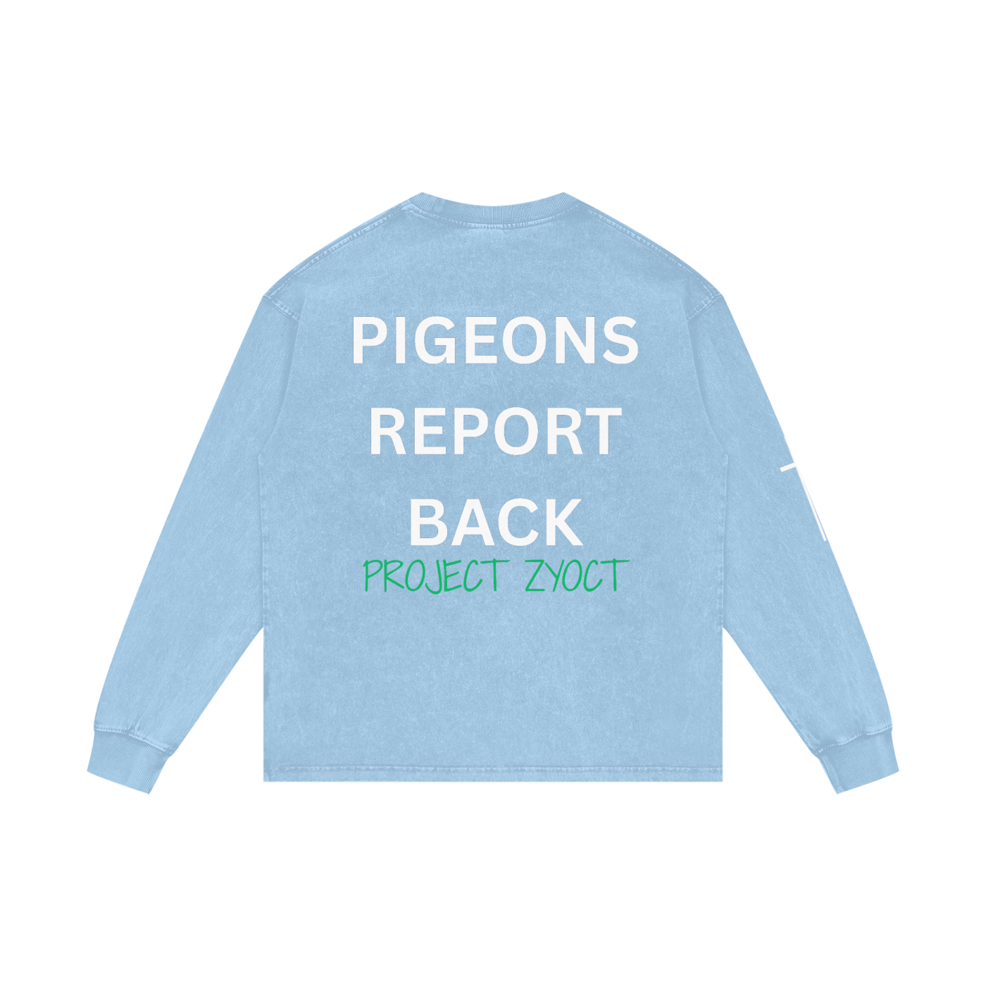 "Pigeons Report Back" Acid Wash Long Sleeve