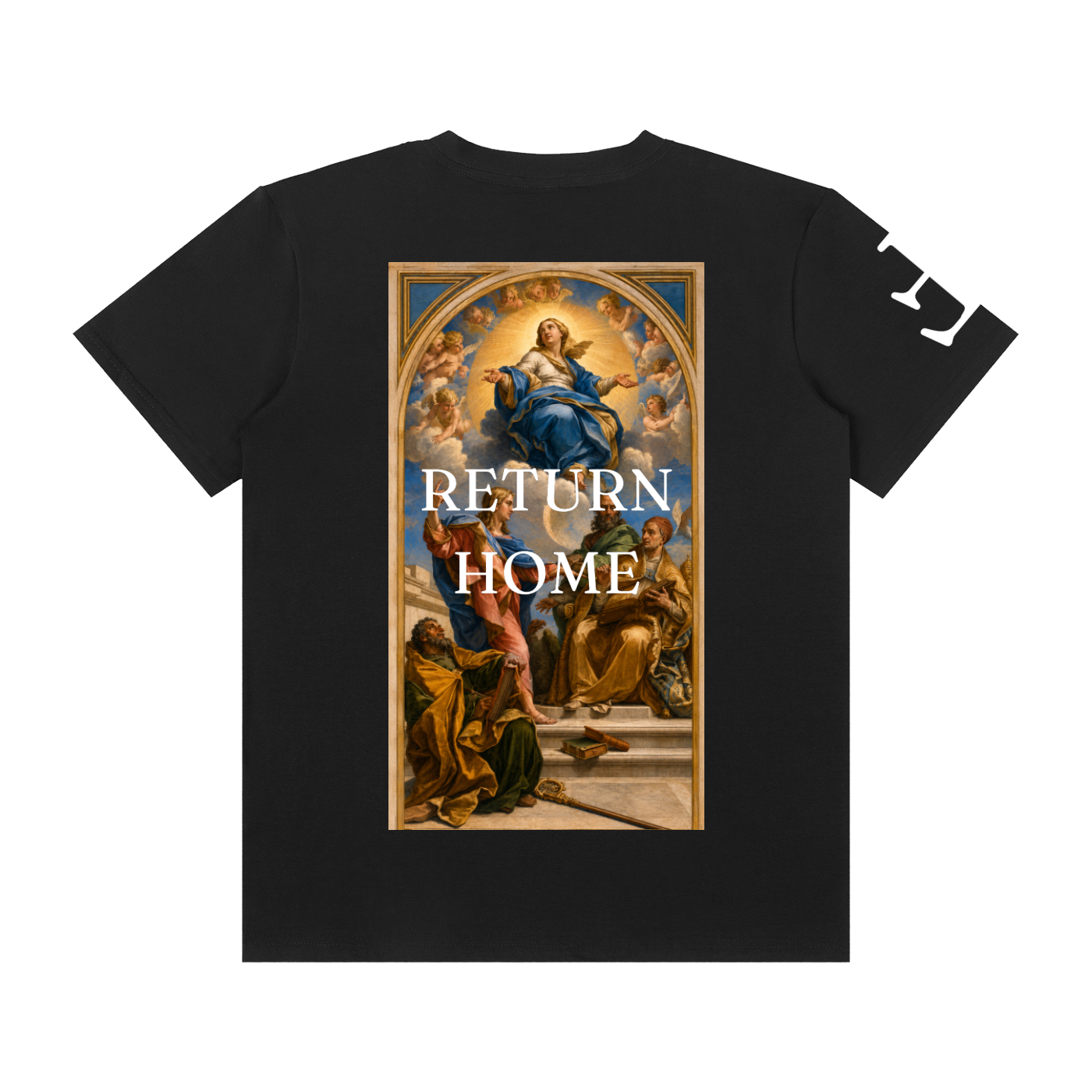 Explaining the doctrine of the Immaculate Conception T-Shirt