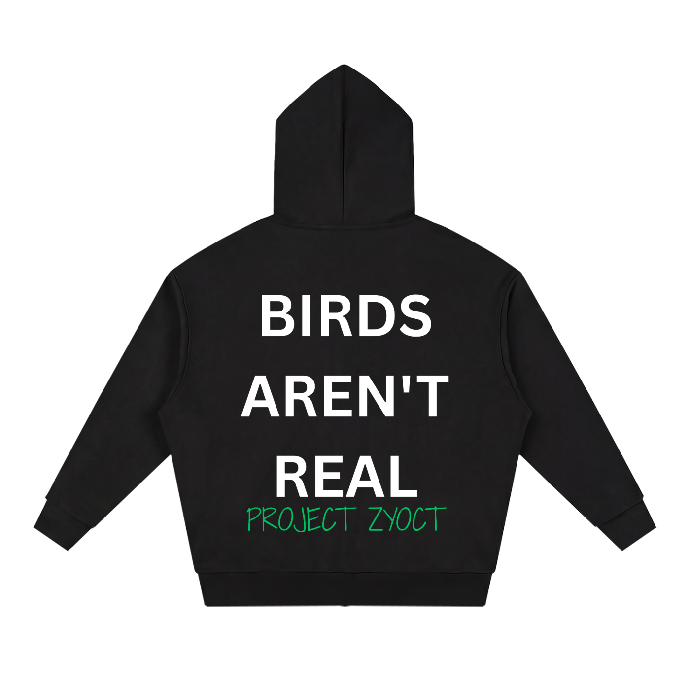 "Birds Aren't Real" Full Zip Hoodie