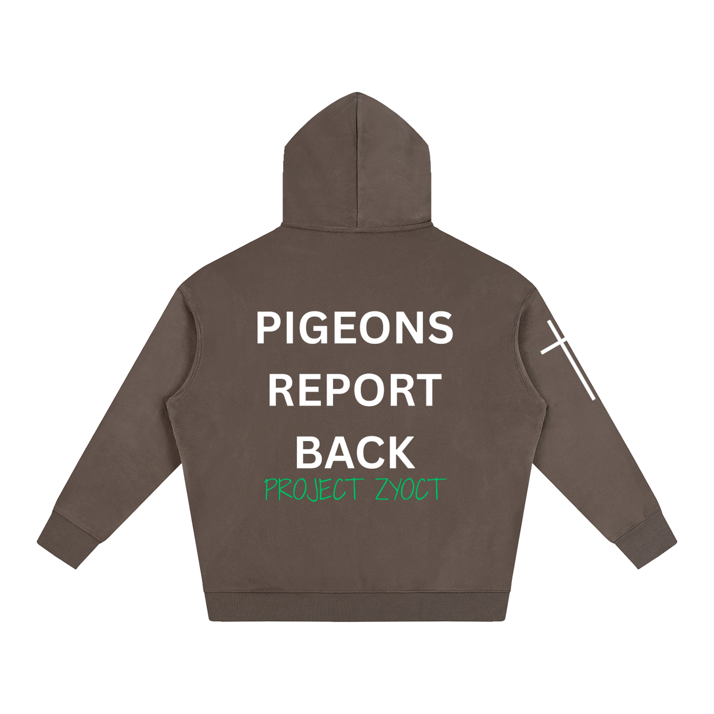 "Pigeons Report Back" Oversize Hoodie