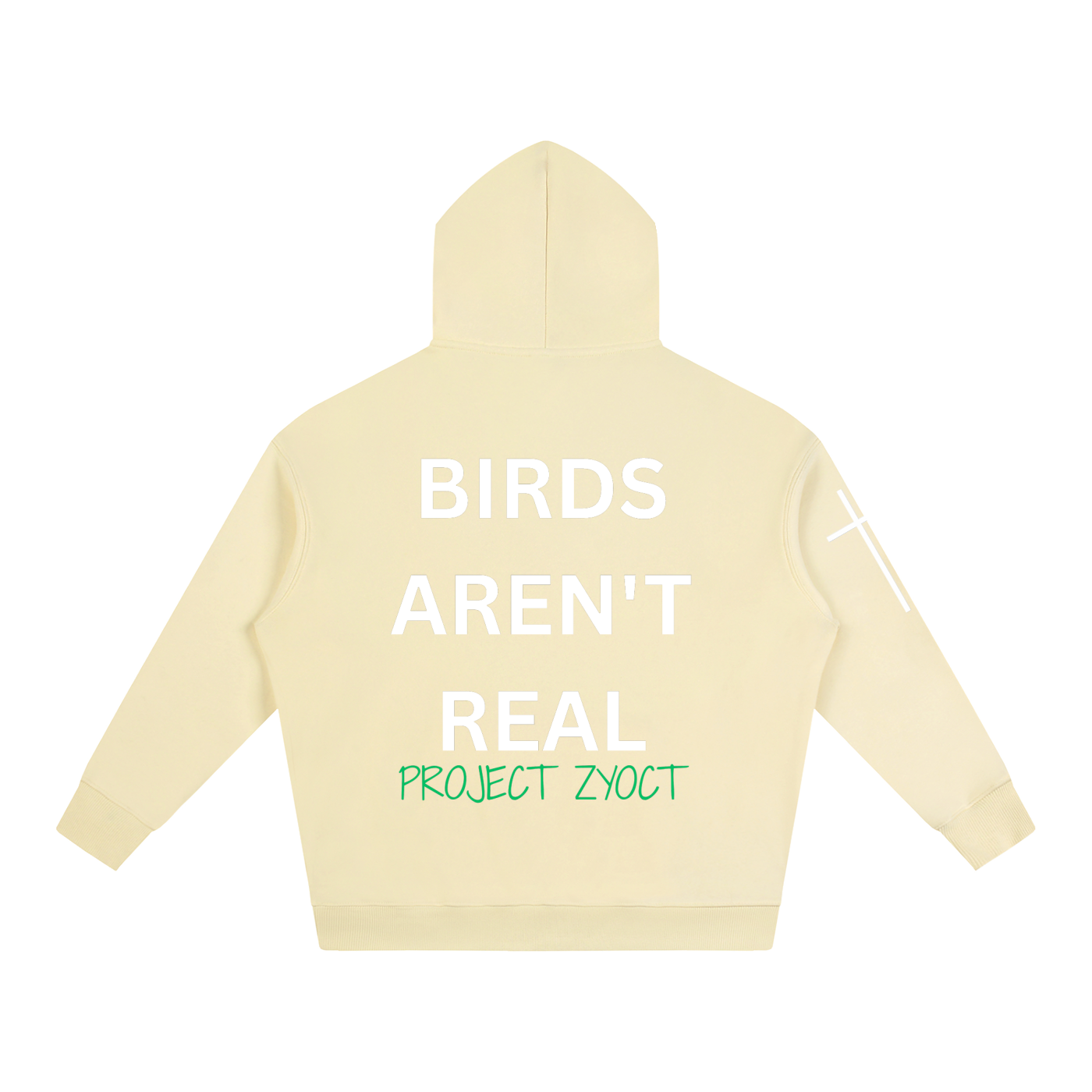 "Birds Aren't Real" Oversize Hoodie