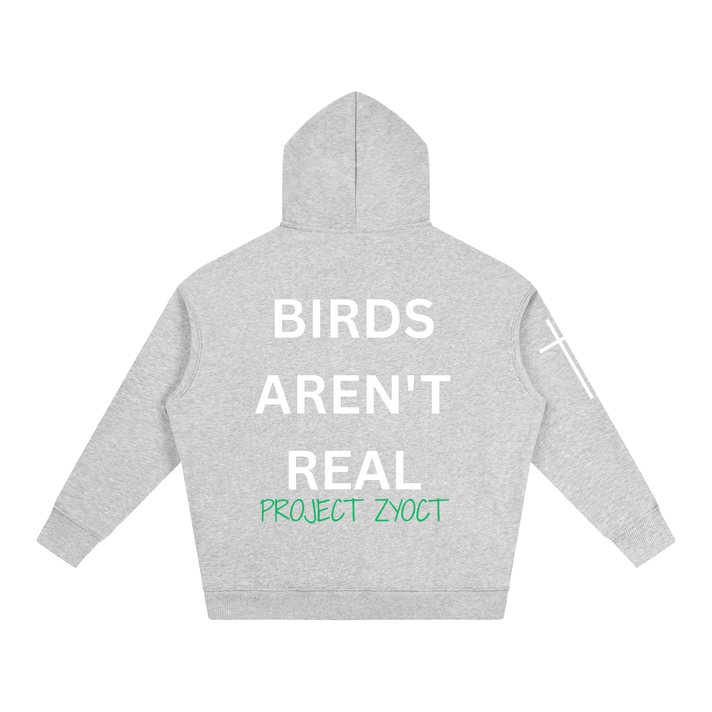 "Birds Aren't Real" Oversize Hoodie