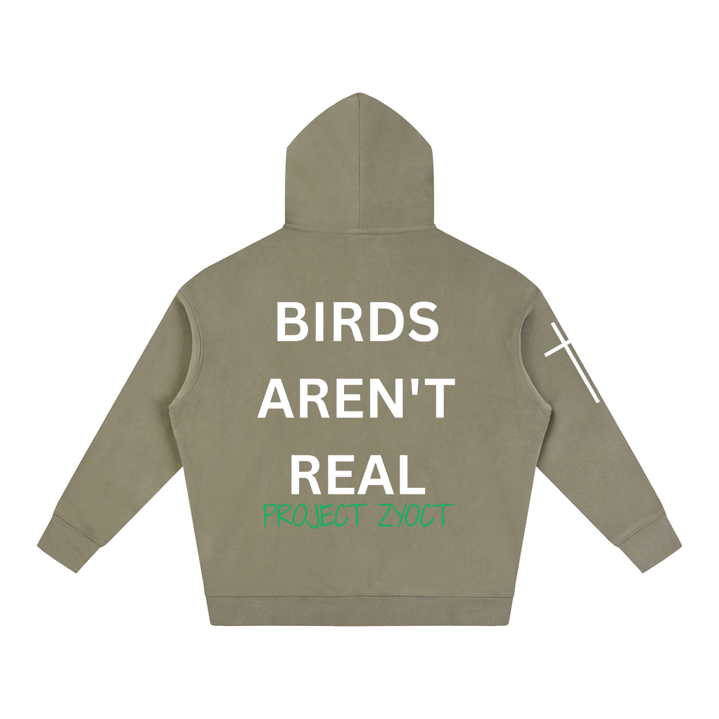 "Birds Aren't Real" Oversize Hoodie