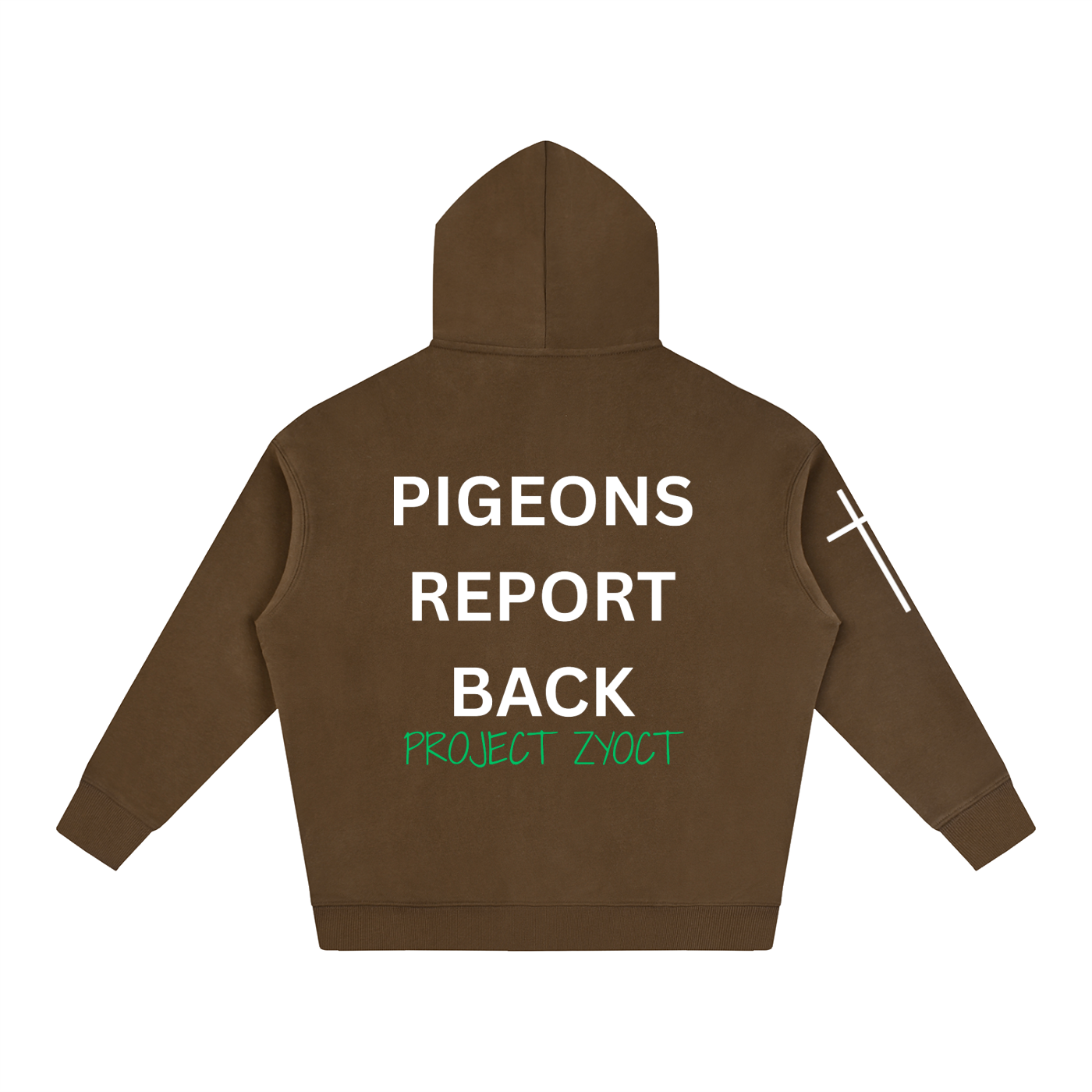"Pigeons Report Back" Oversize Hoodie