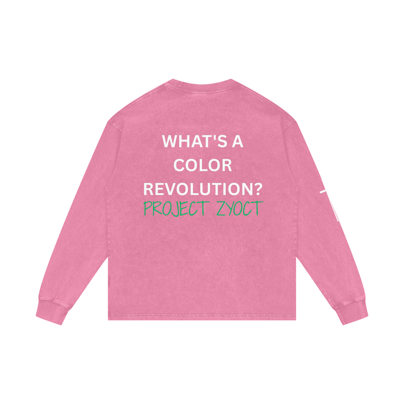 "What's a Color Revolution?" Acid Wash Long Sleeve