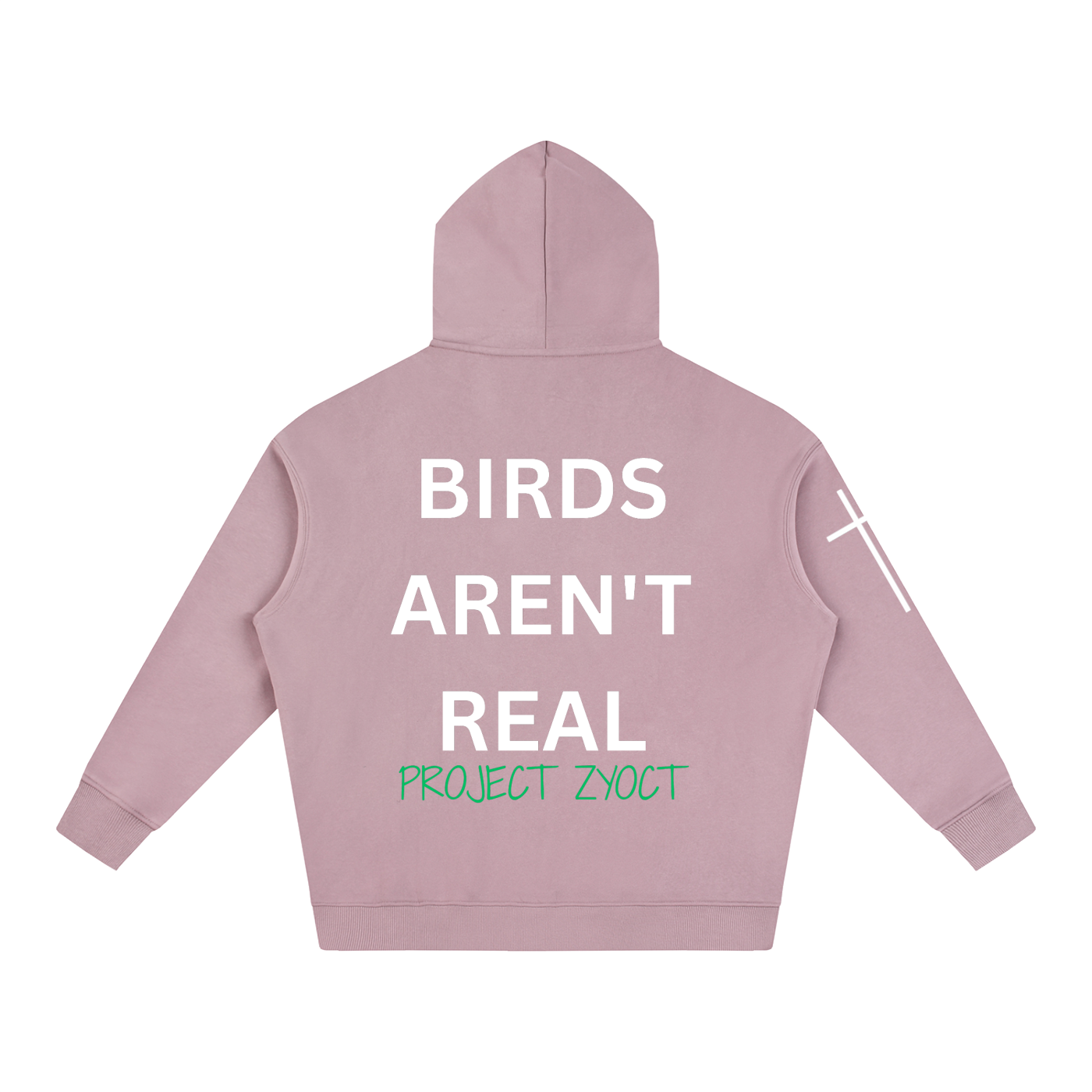 "Birds Aren't Real" Oversize Hoodie