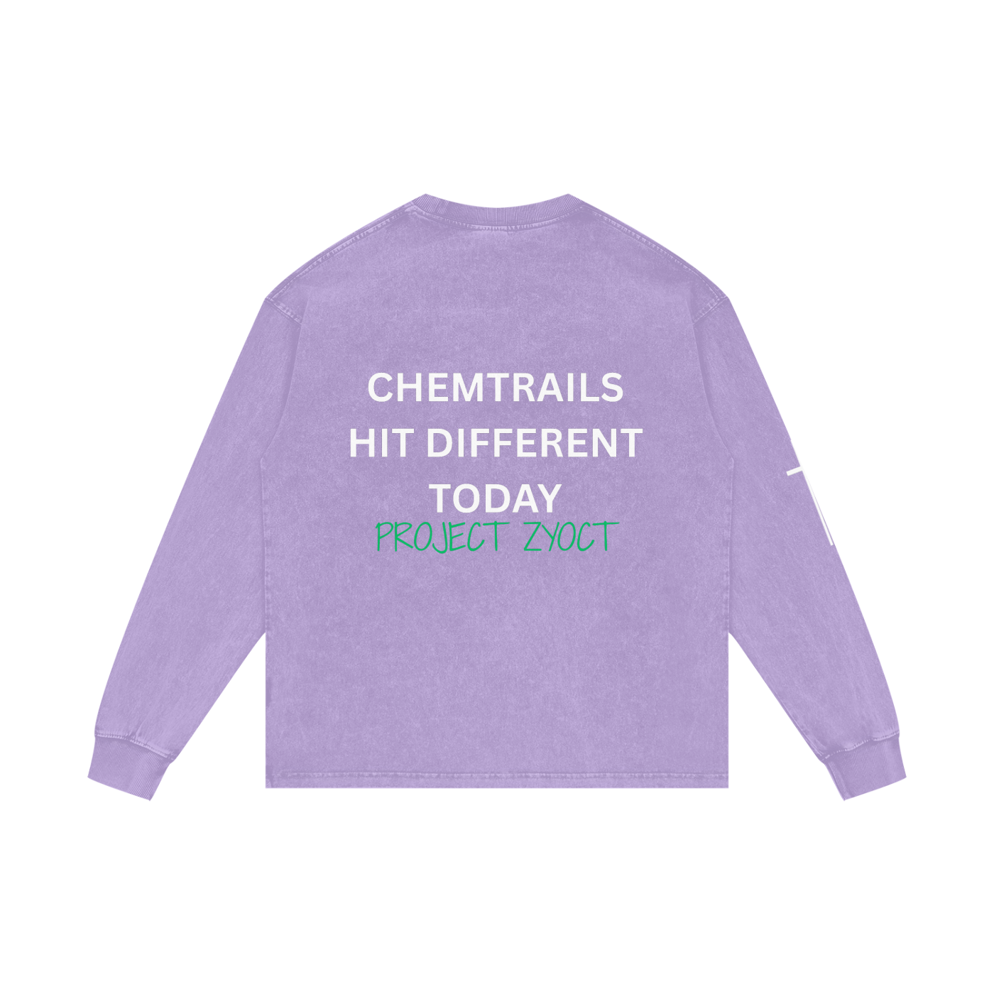 "Chemtrails Hit Different Today" Acid Wash Long Sleeve