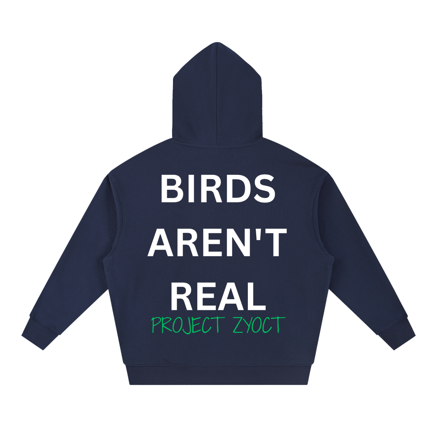 "Birds Aren't Real" Heavyweight Hoodie
