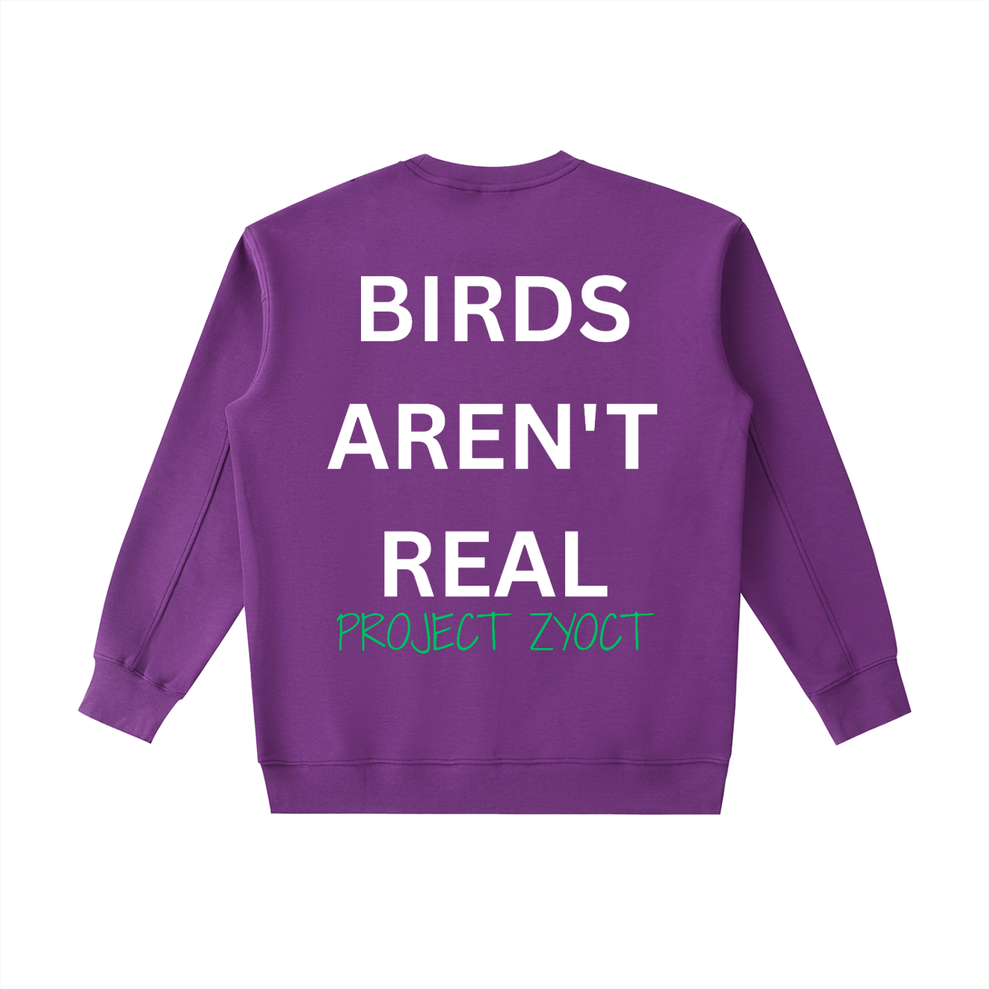 "Birds Aren't Real" Heavyweight Sweatshirt