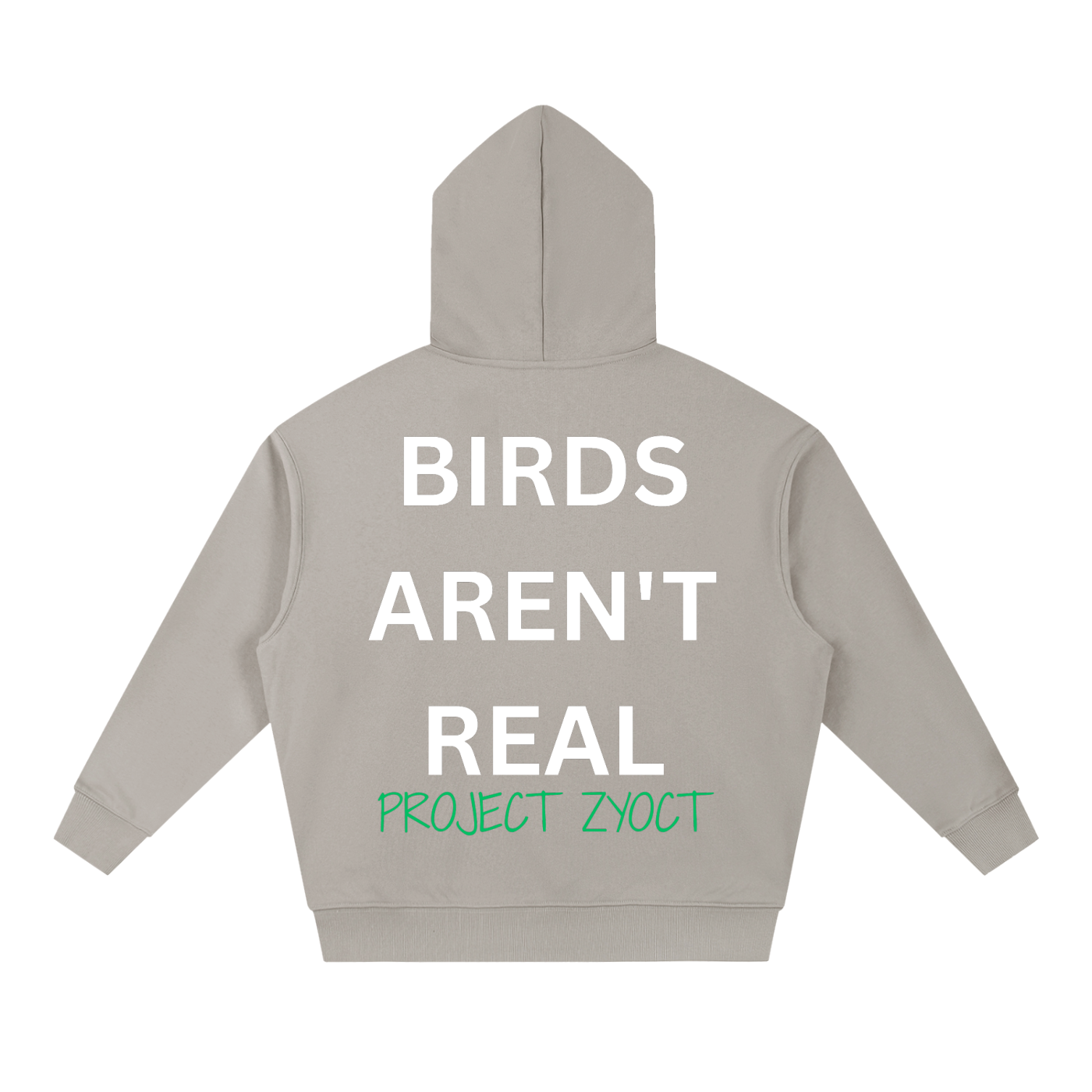 "Birds Aren't Real" Heavyweight Hoodie