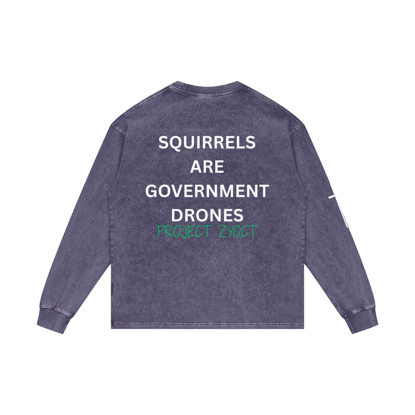 "Squirrels Are Government Drones" Acid Wash Long Sleeve