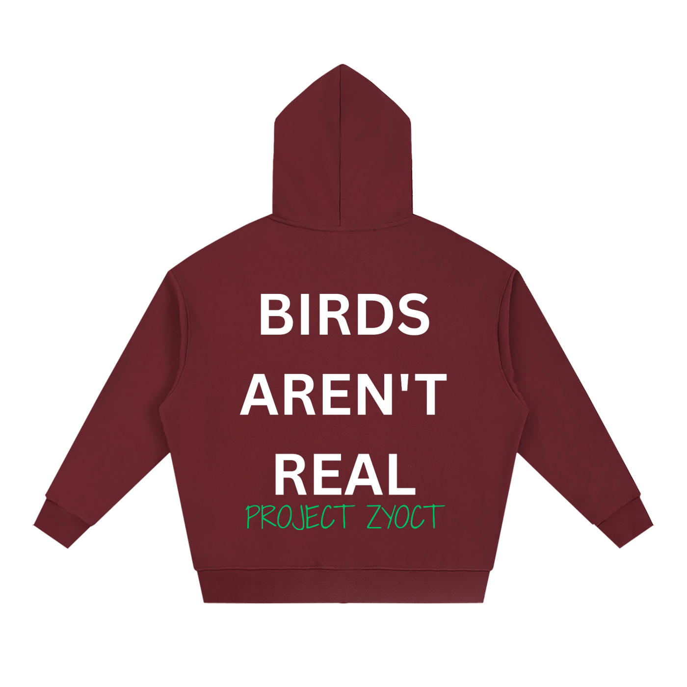 "Birds Aren't Real" Full Zip Hoodie