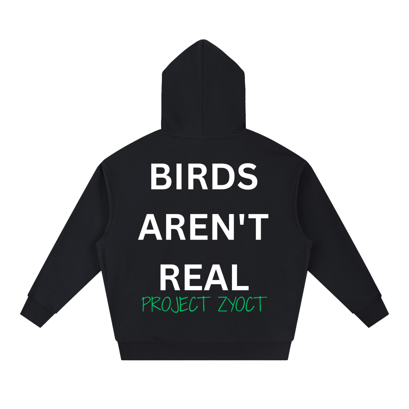 "Birds Aren't Real" Heavyweight Hoodie
