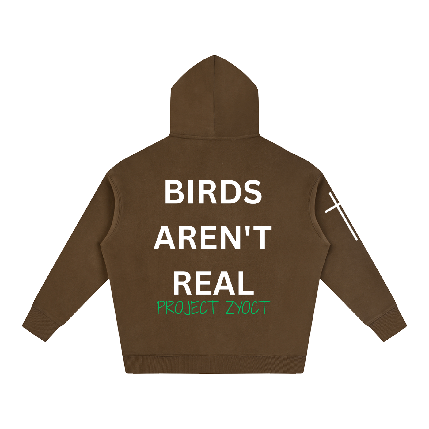 "Birds Aren't Real" Oversize Hoodie