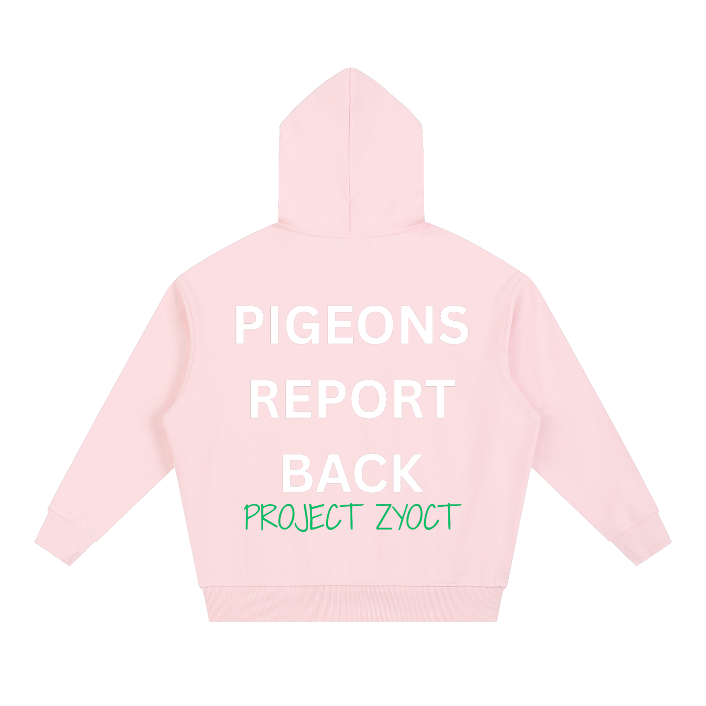"Pigeons Report Back" Heavyweight Hoodie