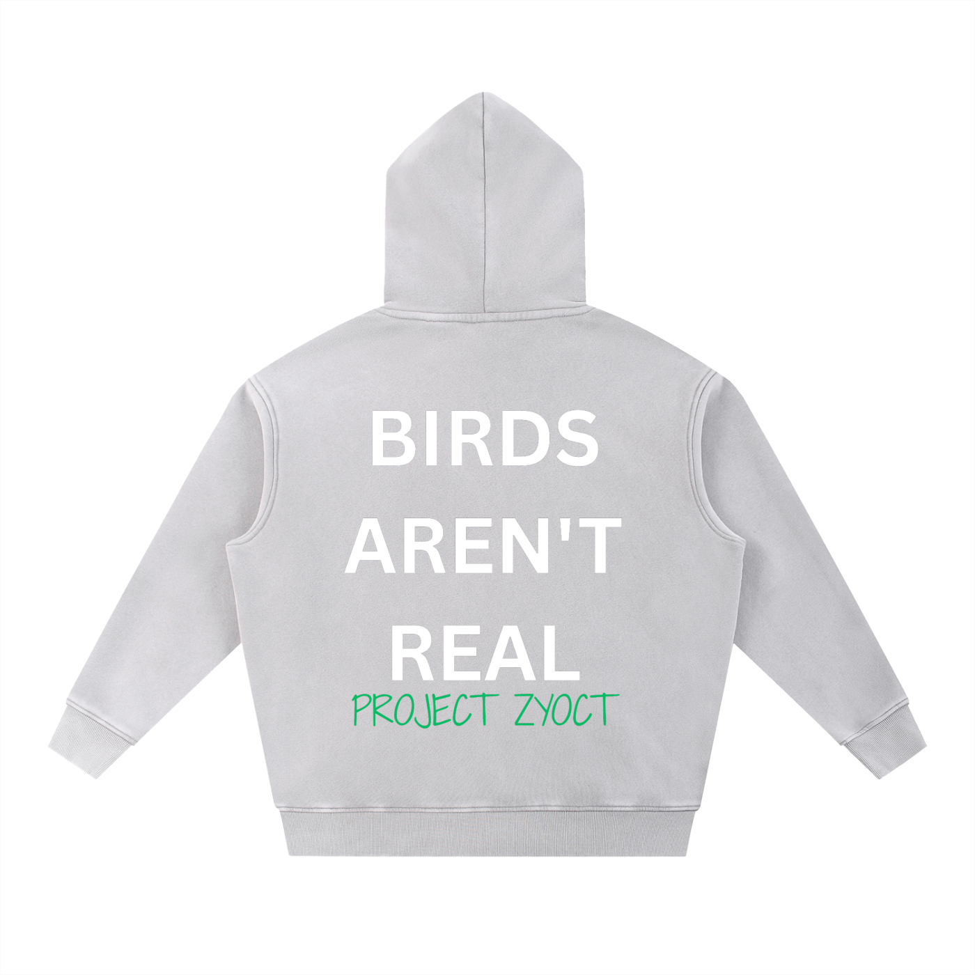 "Birds Aren't Real" Snow Wash Oversize Hoodie