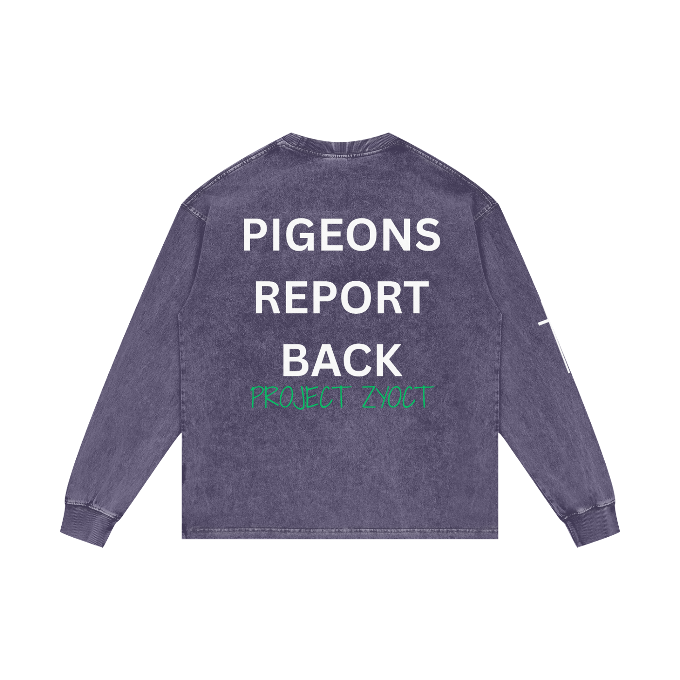 "Pigeons Report Back" Acid Wash Long Sleeve