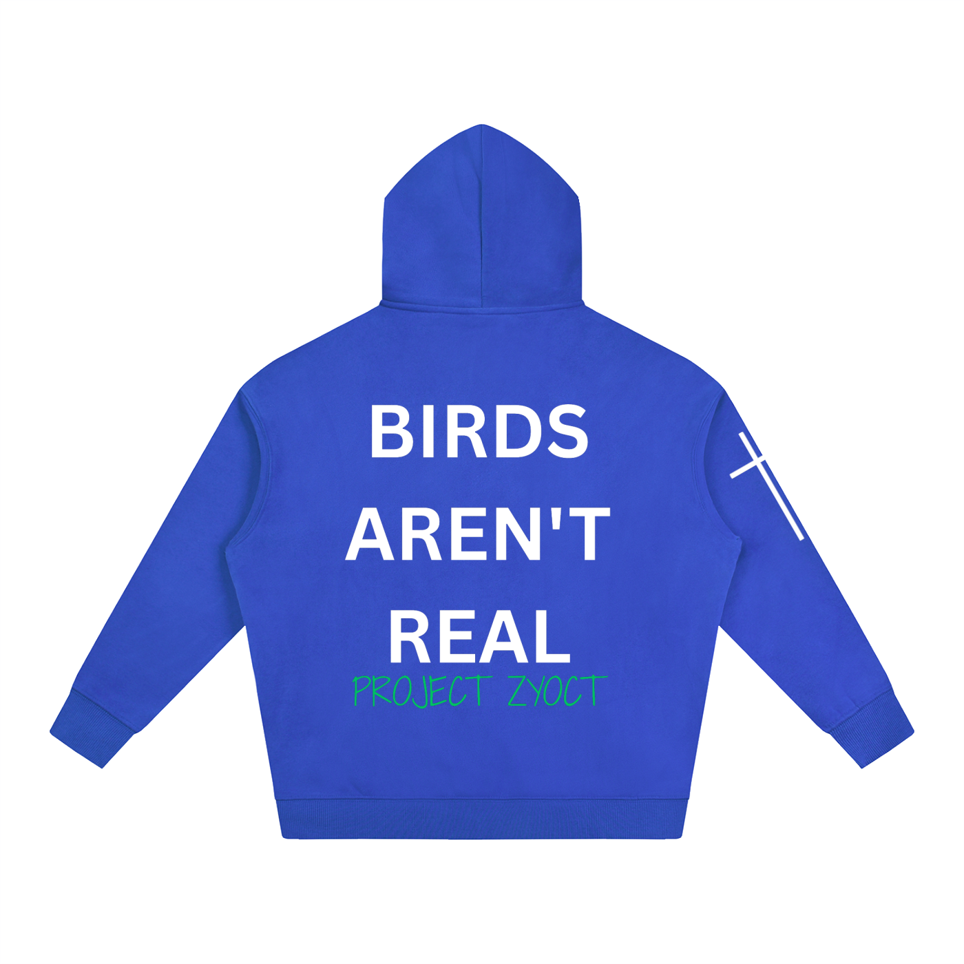 "Birds Aren't Real" Oversize Hoodie