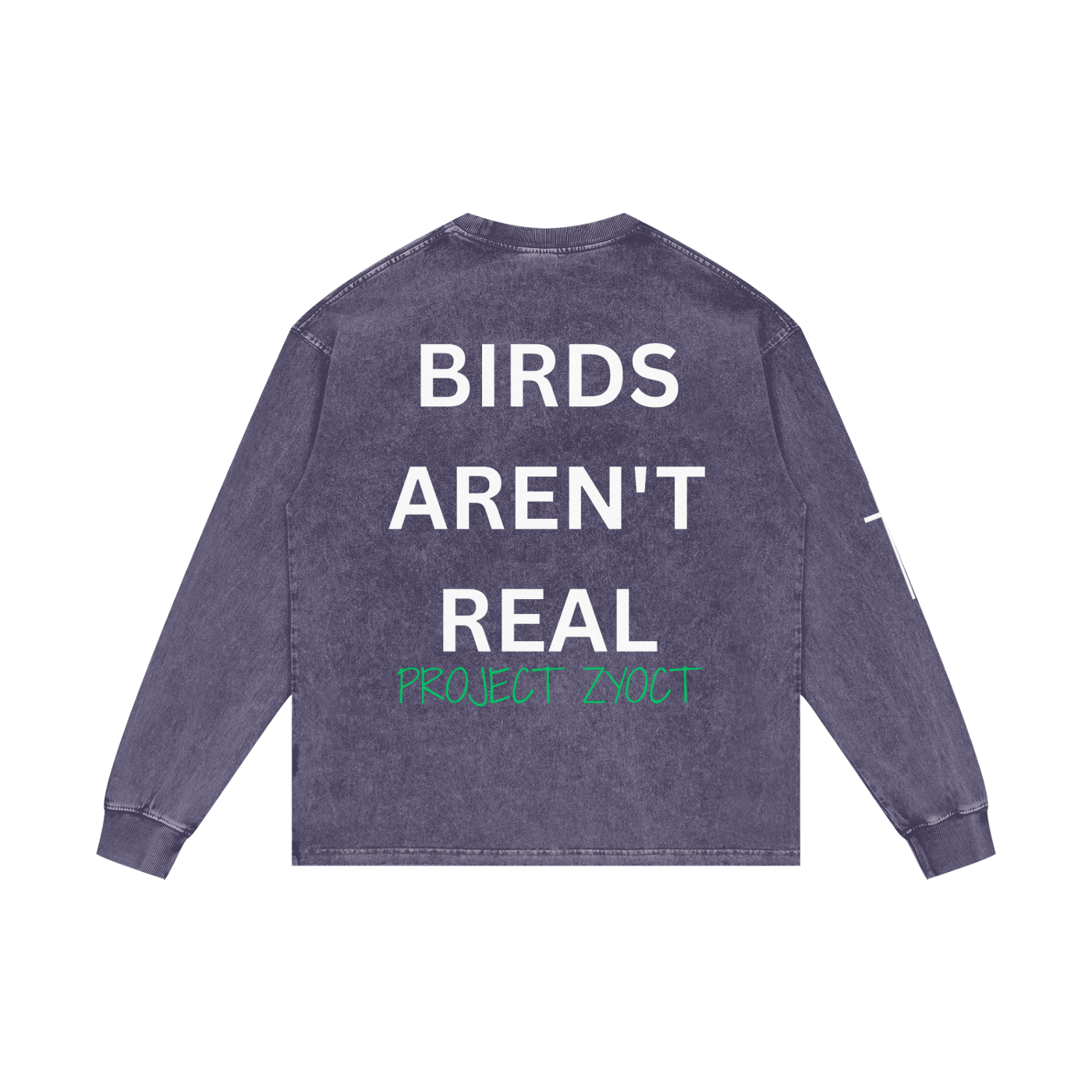 "Birds Aren't Real" Acid Wash Long Sleeve