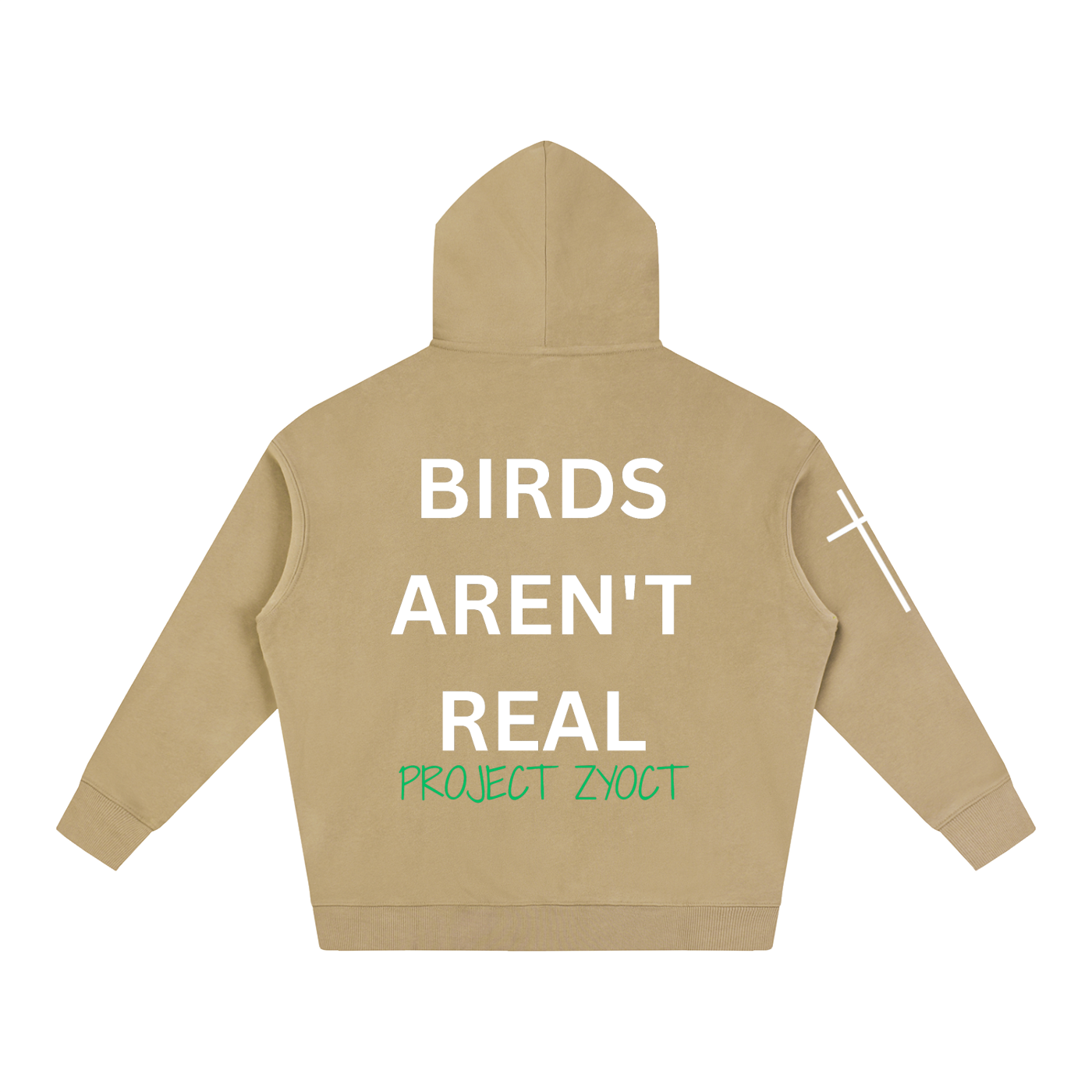"Birds Aren't Real" Oversize Hoodie