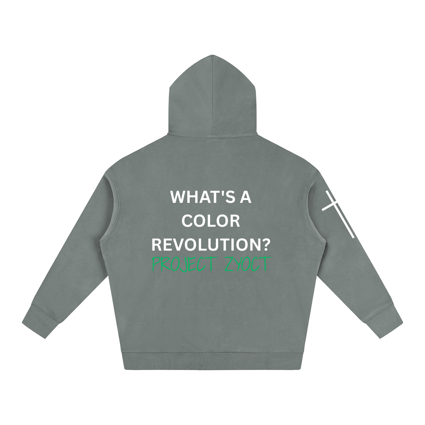 "What's a Color Revolution?" Oversize Hoodie