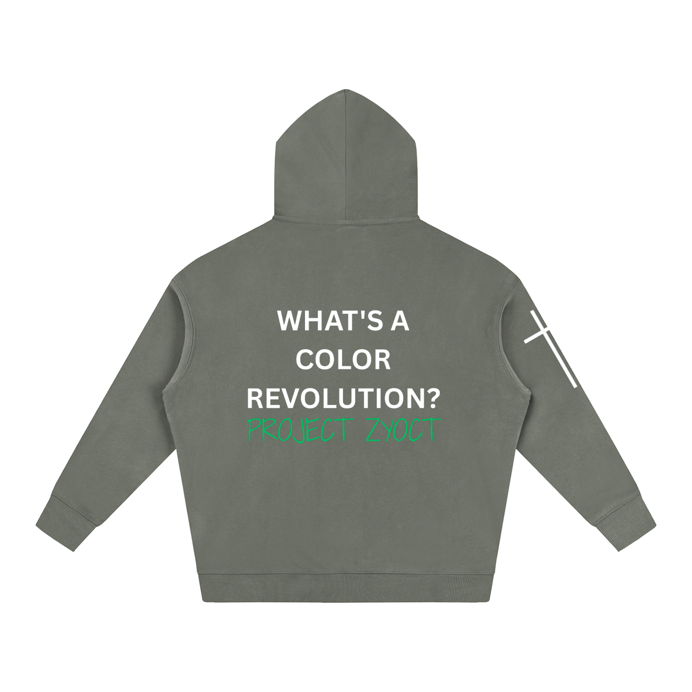 "What's a Color Revolution?" Oversize Hoodie