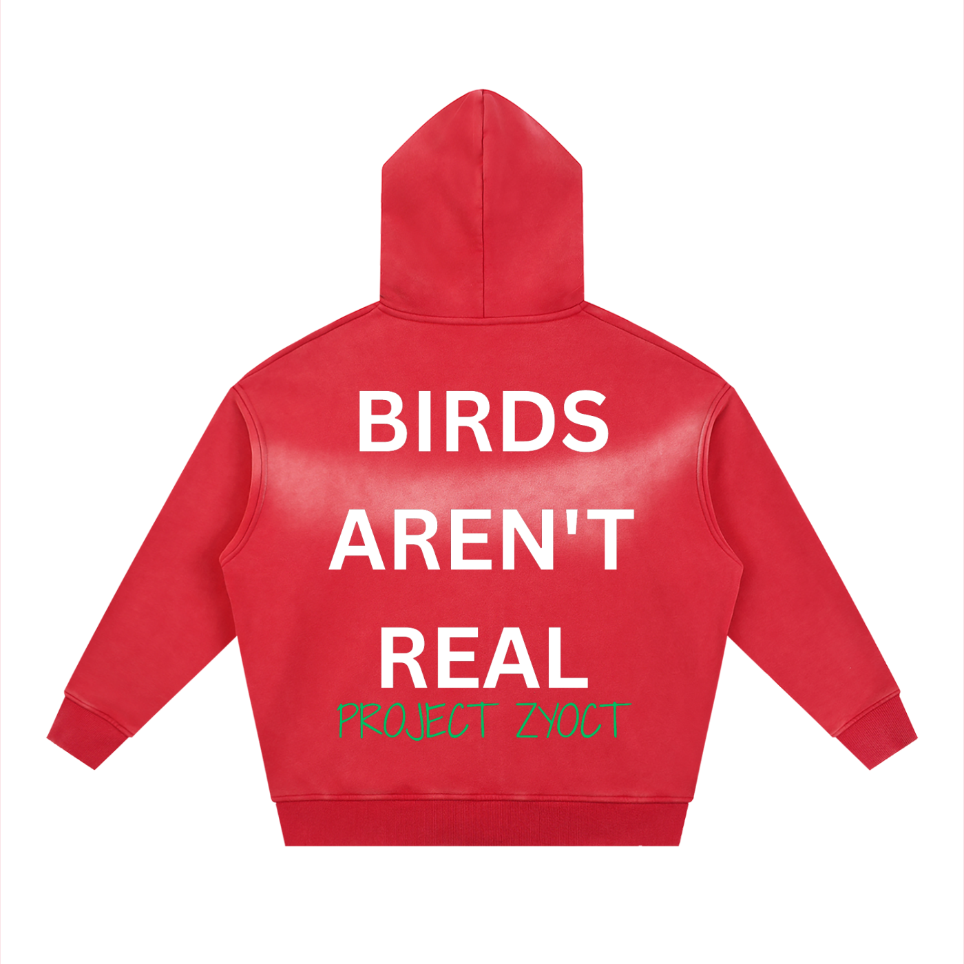 "Birds Aren't Real" Faded Zipper Hoodie