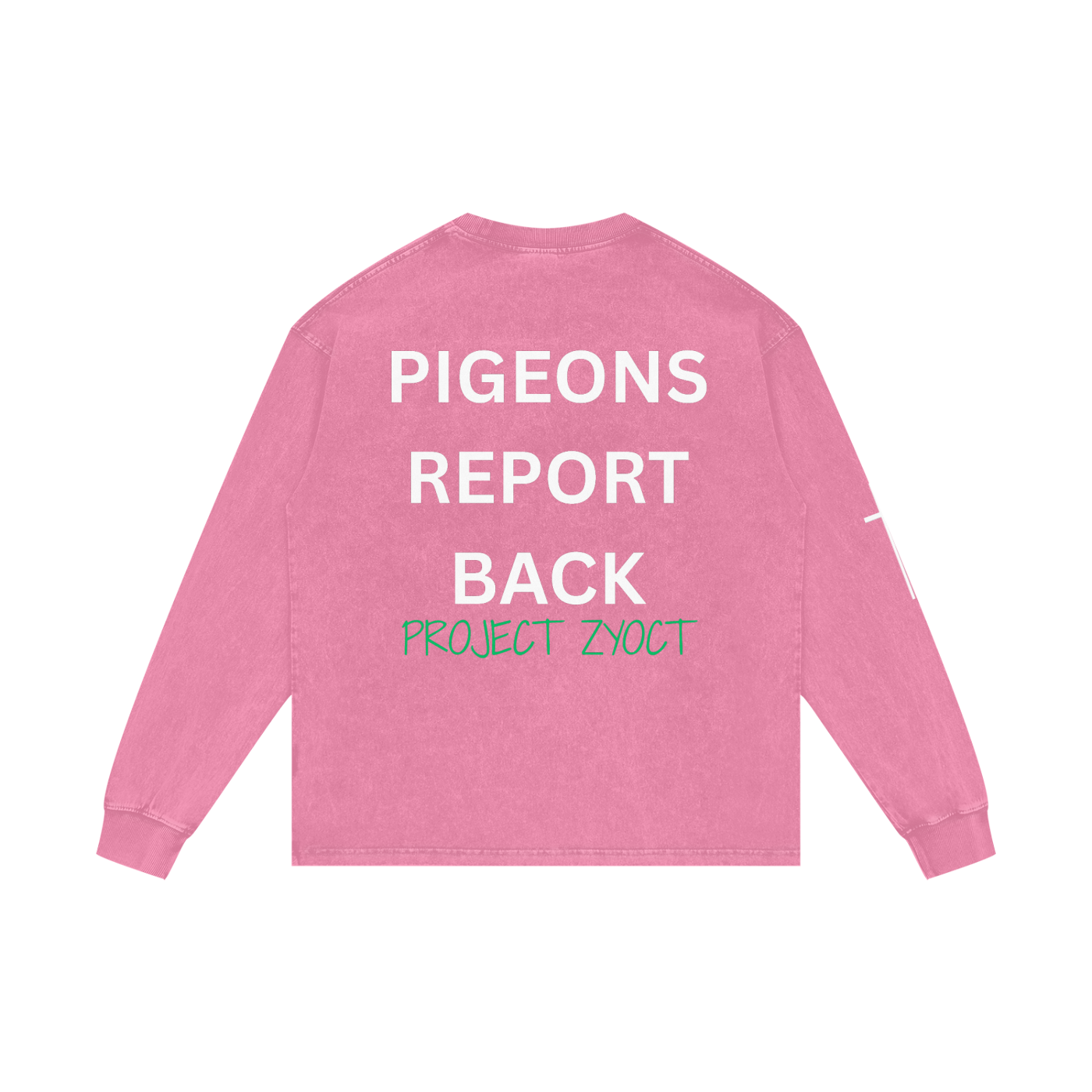 "Pigeons Report Back" Acid Wash Long Sleeve