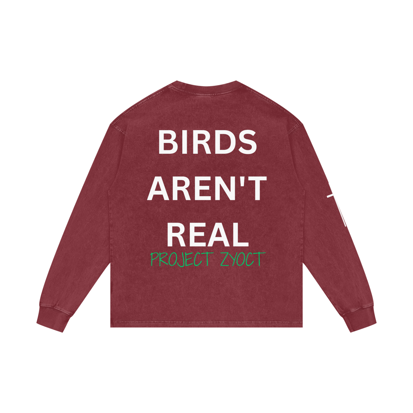 "Birds Aren't Real" Acid Wash Long Sleeve