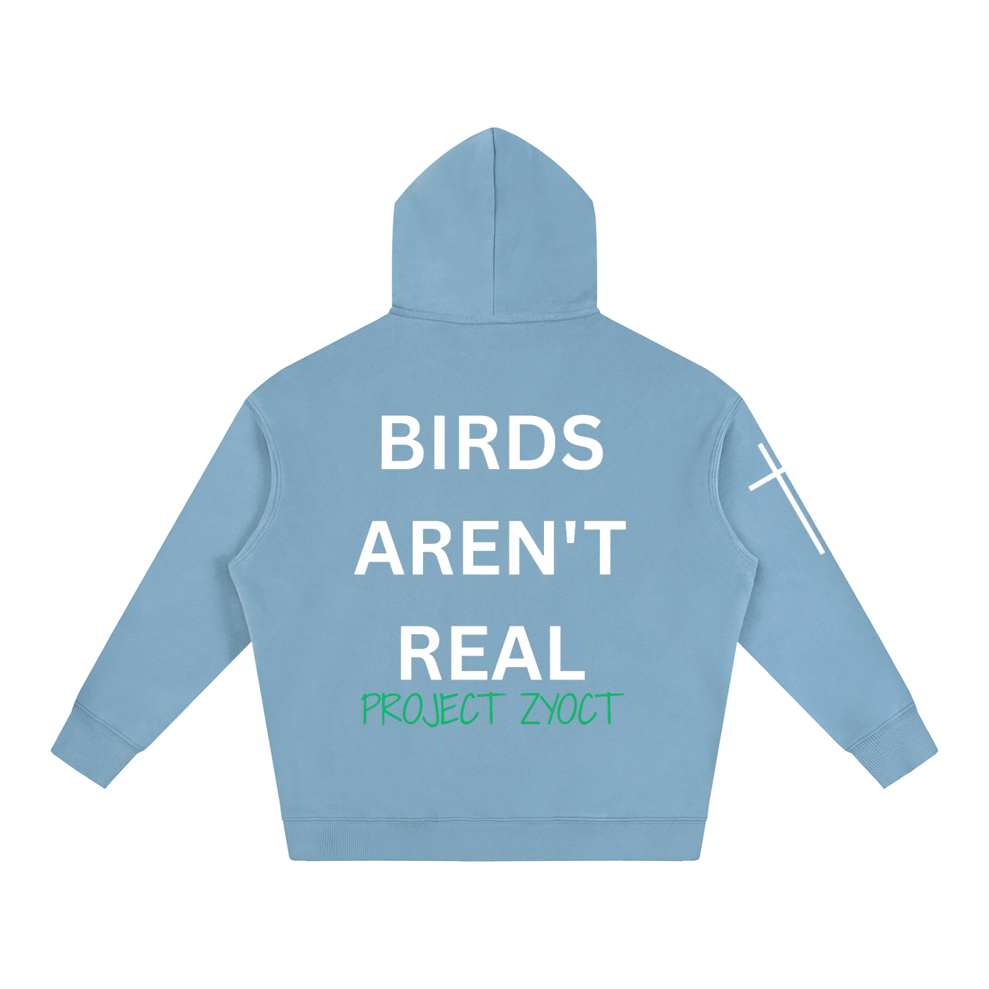 "Birds Aren't Real" Oversize Hoodie