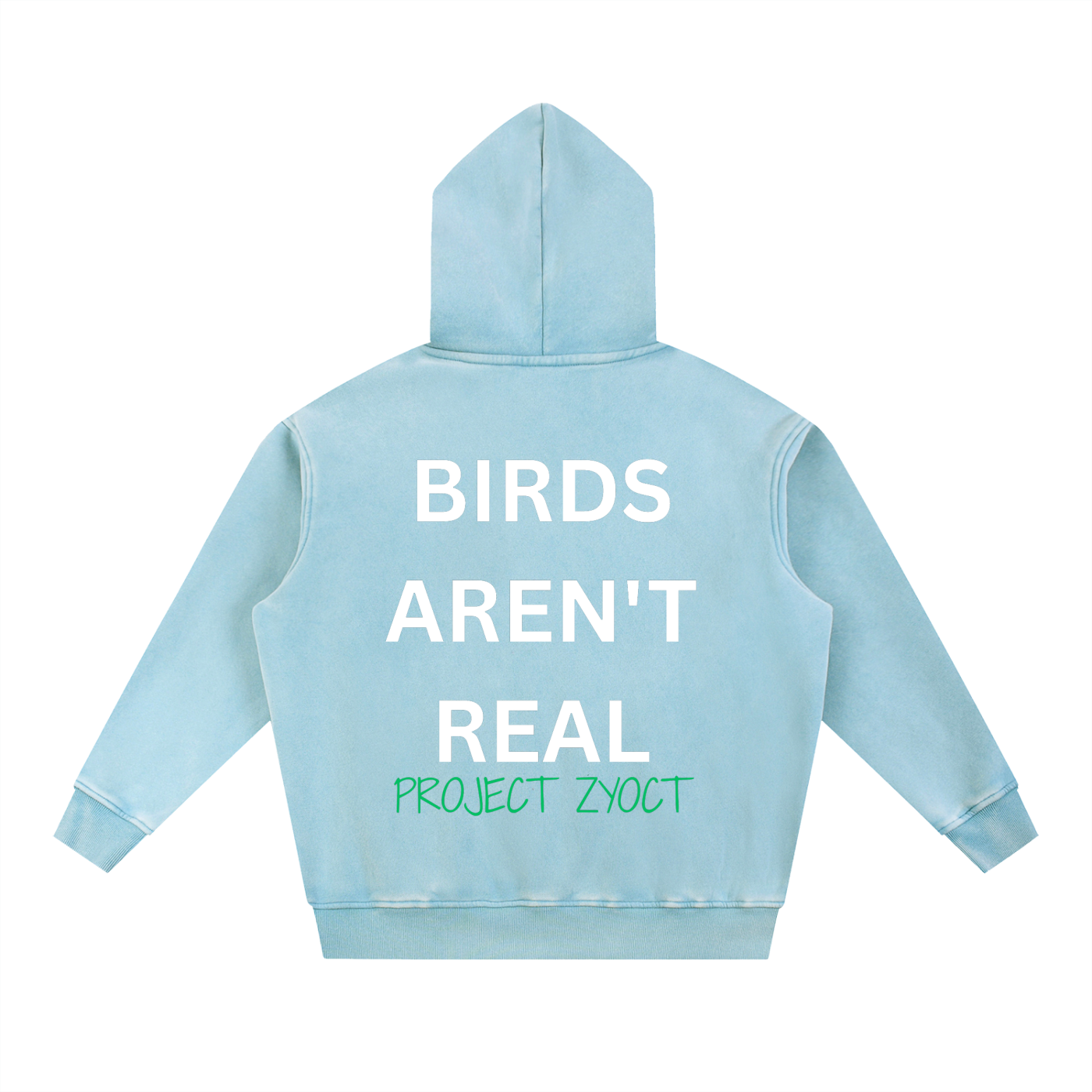 "Birds Aren't Real" Snow Wash Oversize Hoodie