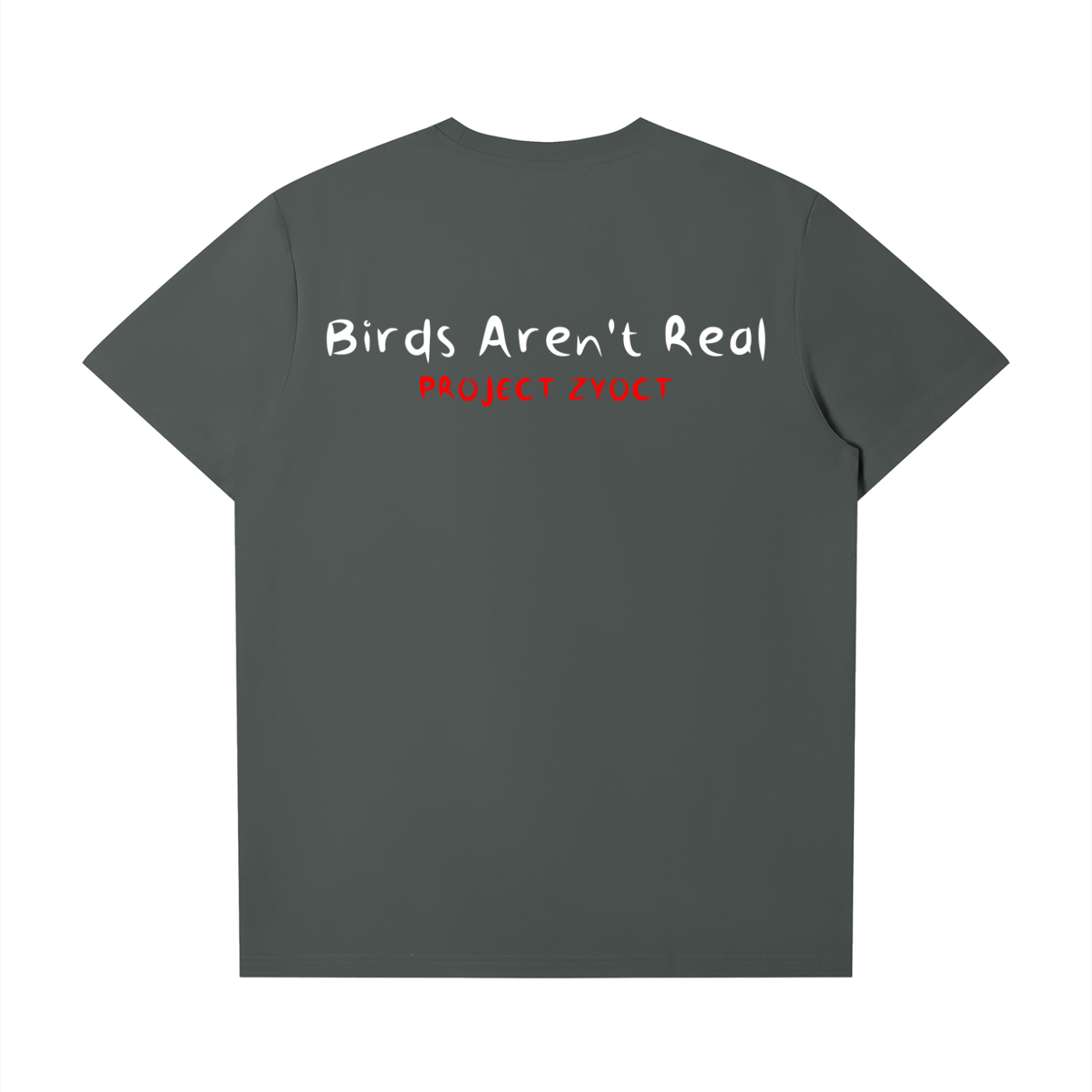 "Birds Aren't Real" T-Shirt