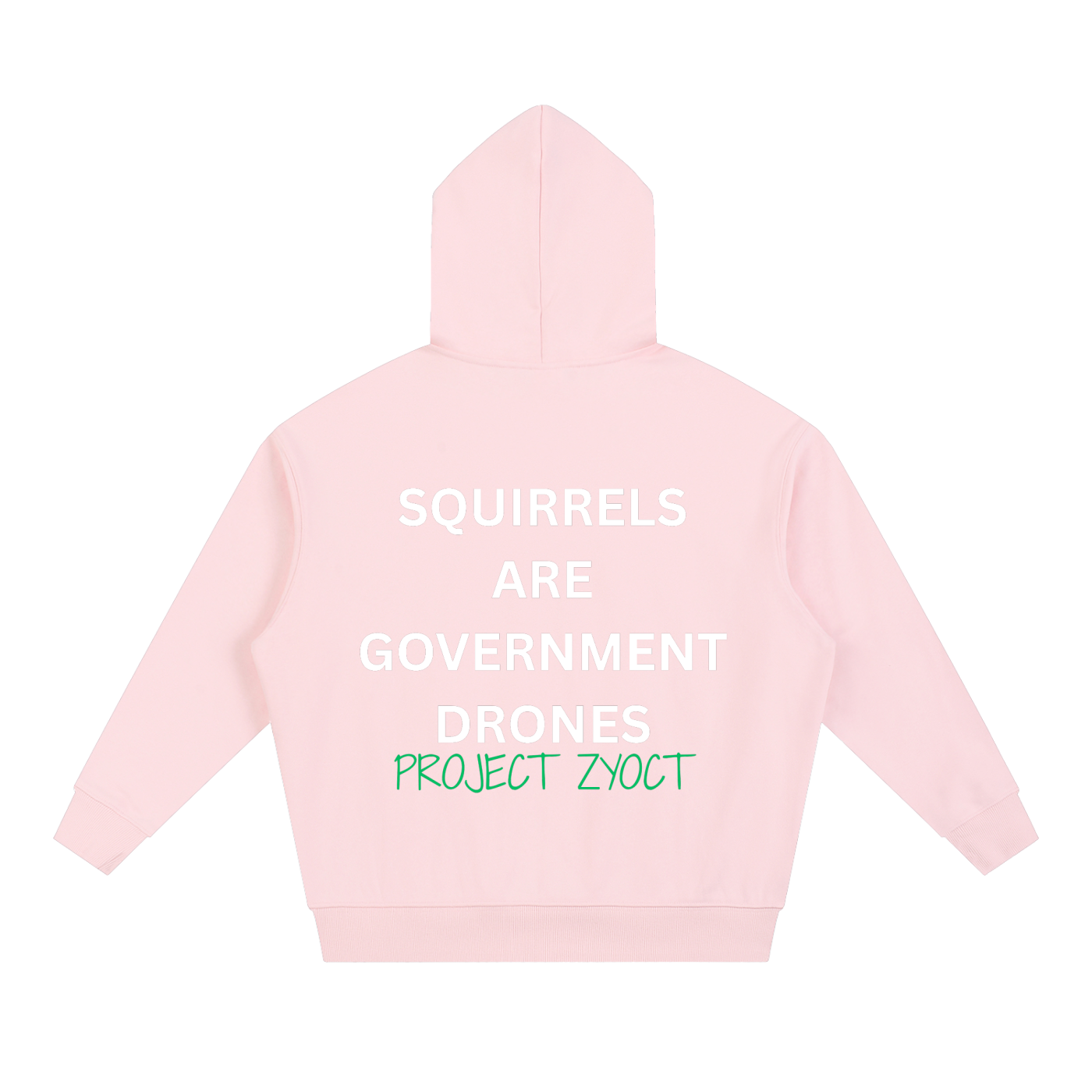"Squirrels Are Government Drones" Heavyweight Hoodie