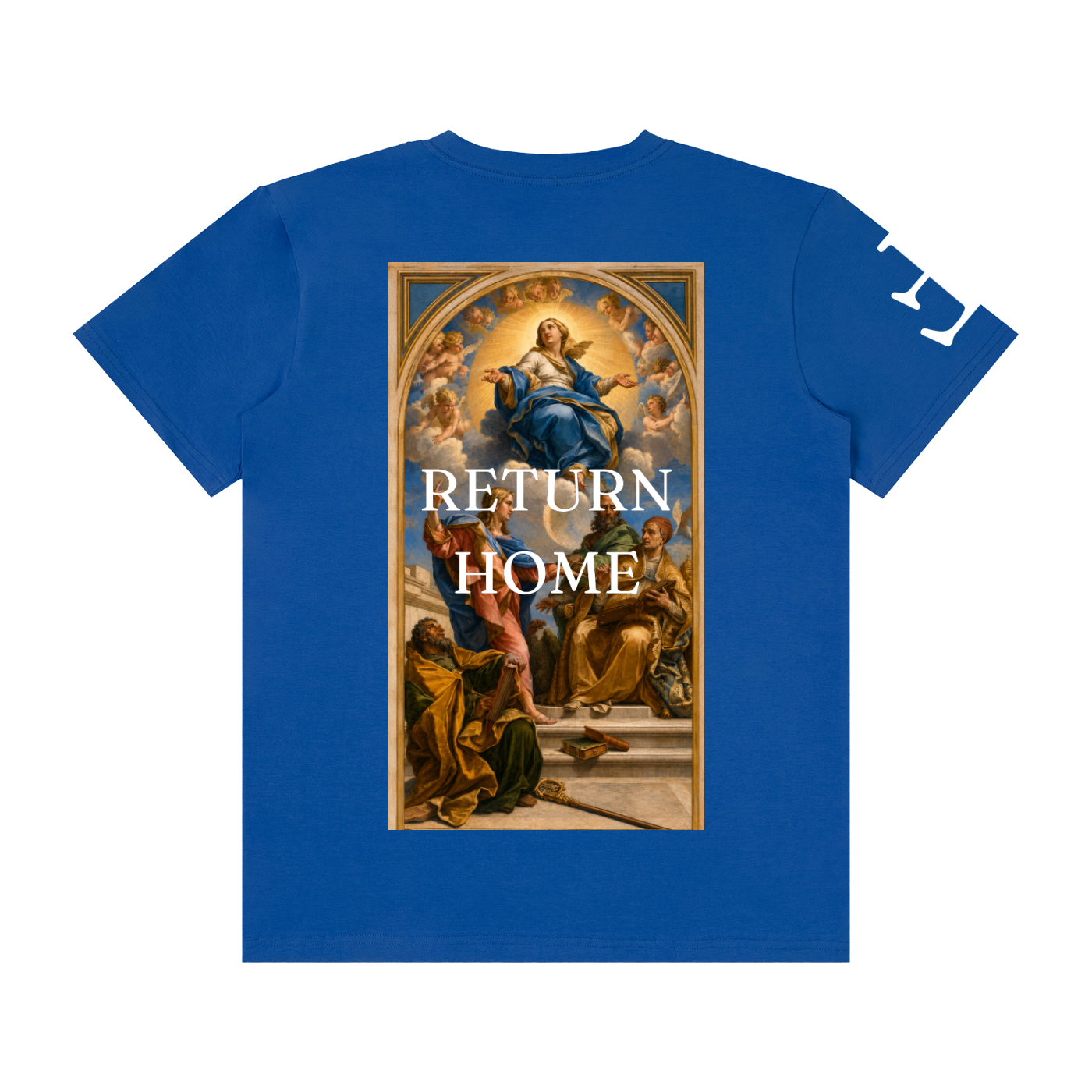 Explaining the doctrine of the Immaculate Conception T-Shirt