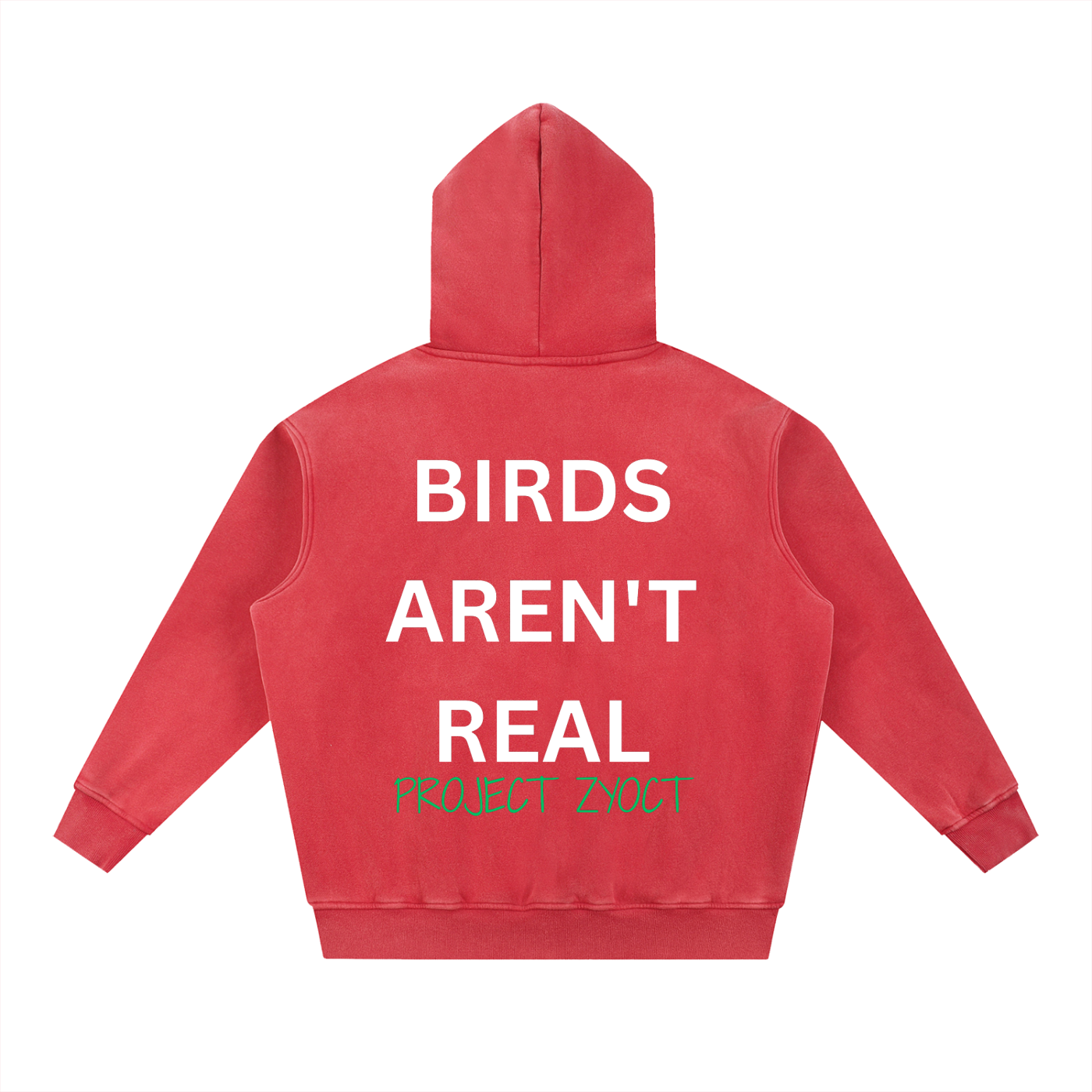 "Birds Aren't Real" Snow Wash Oversize Hoodie