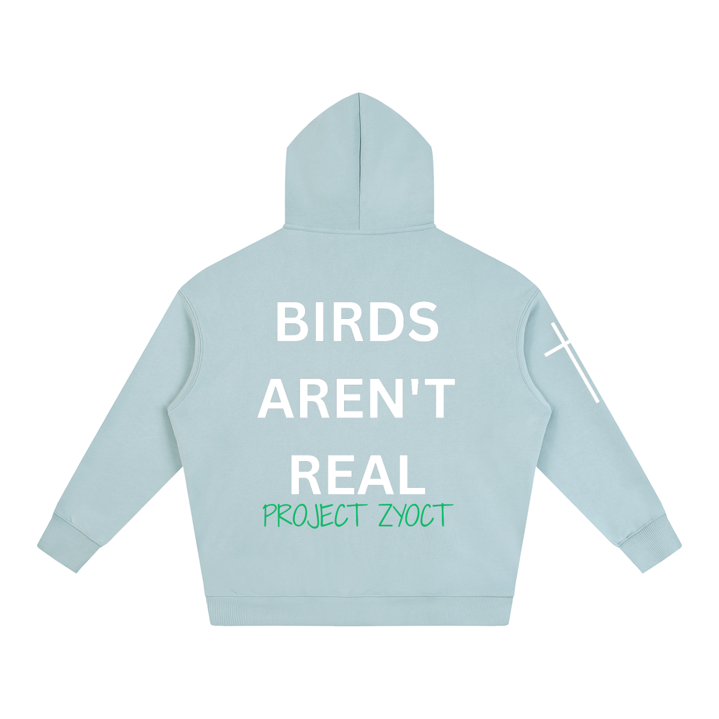 "Birds Aren't Real" Oversize Hoodie