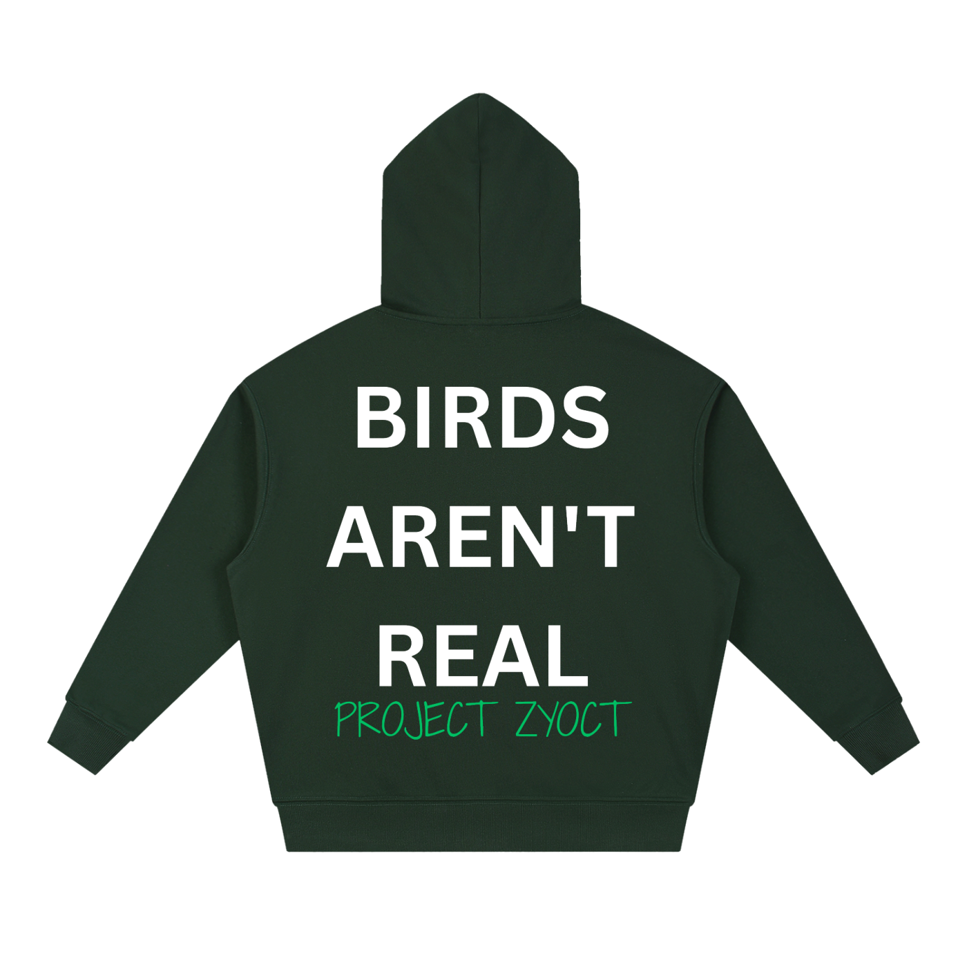"Birds Aren't Real" Heavyweight Hoodie