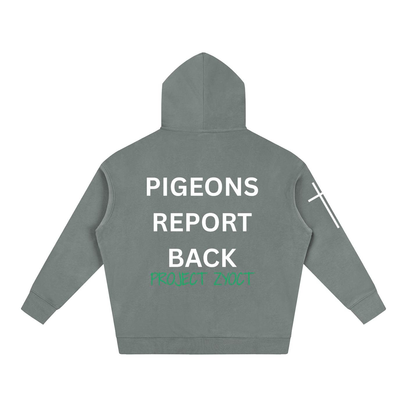 "Pigeons Report Back" Oversize Hoodie