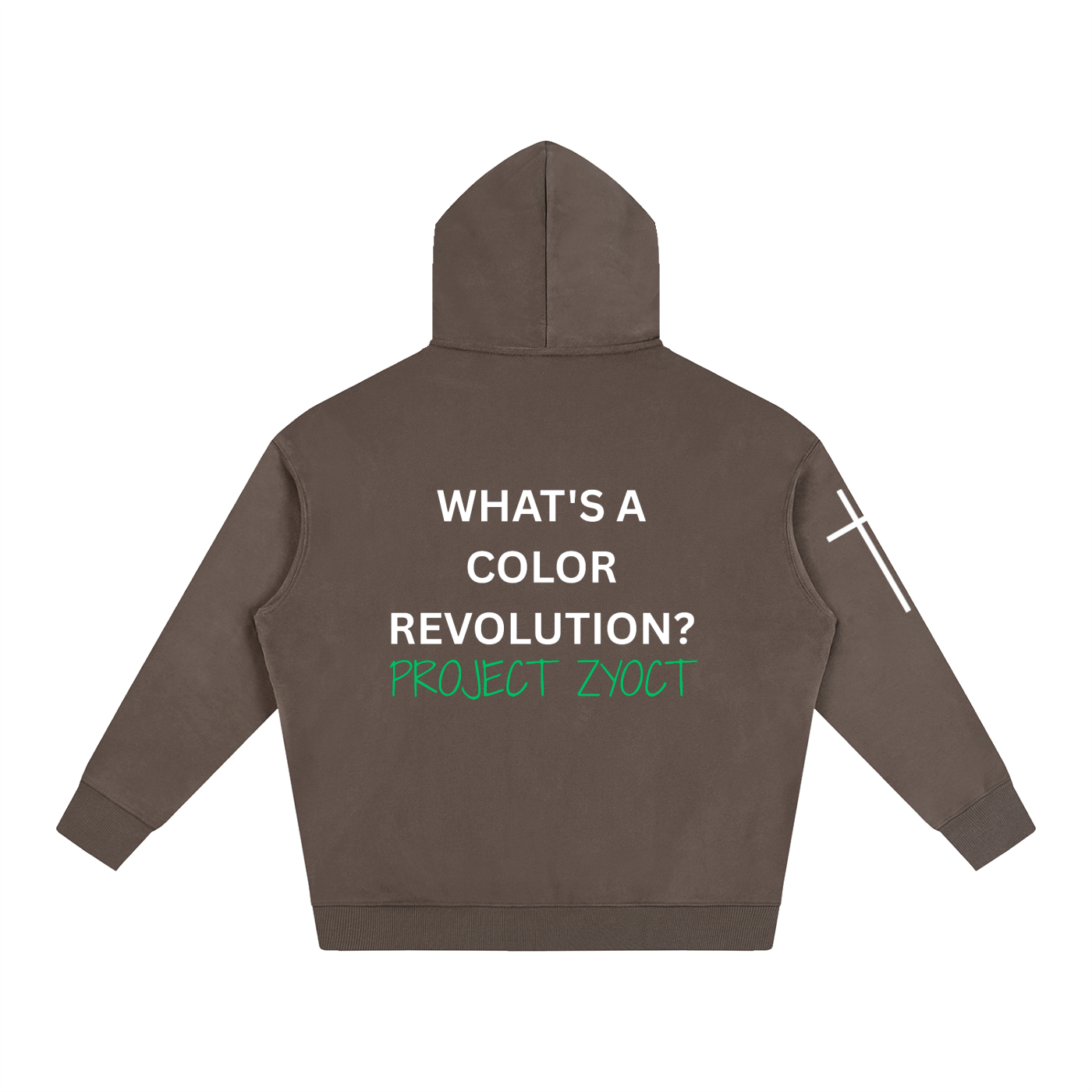 "What's a Color Revolution?" Oversize Hoodie