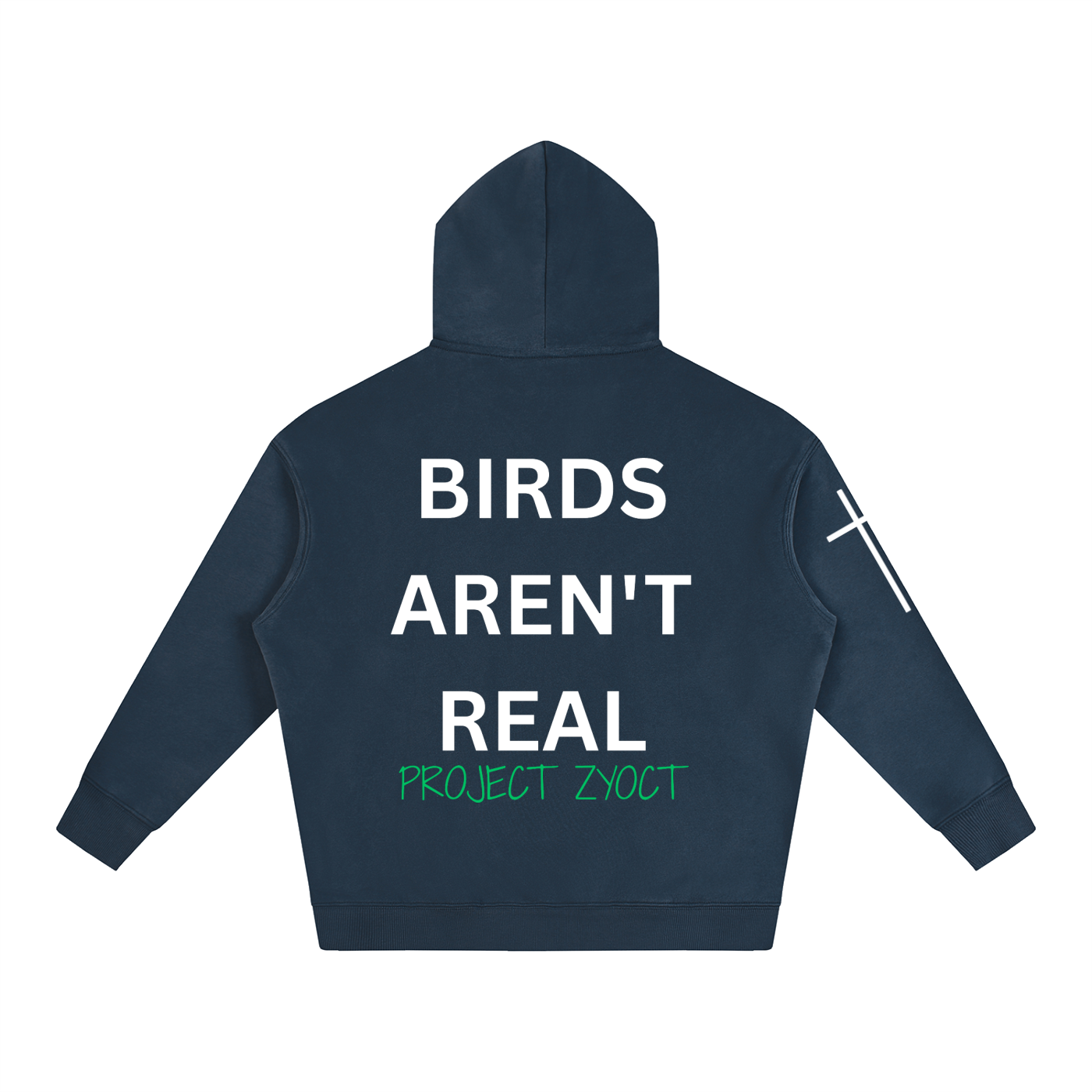 "Birds Aren't Real" Oversize Hoodie