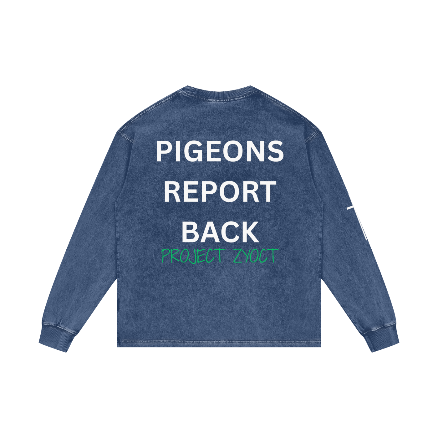 "Pigeons Report Back" Acid Wash Long Sleeve