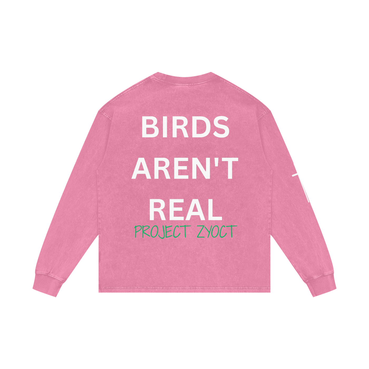 "Birds Aren't Real" Acid Wash Long Sleeve
